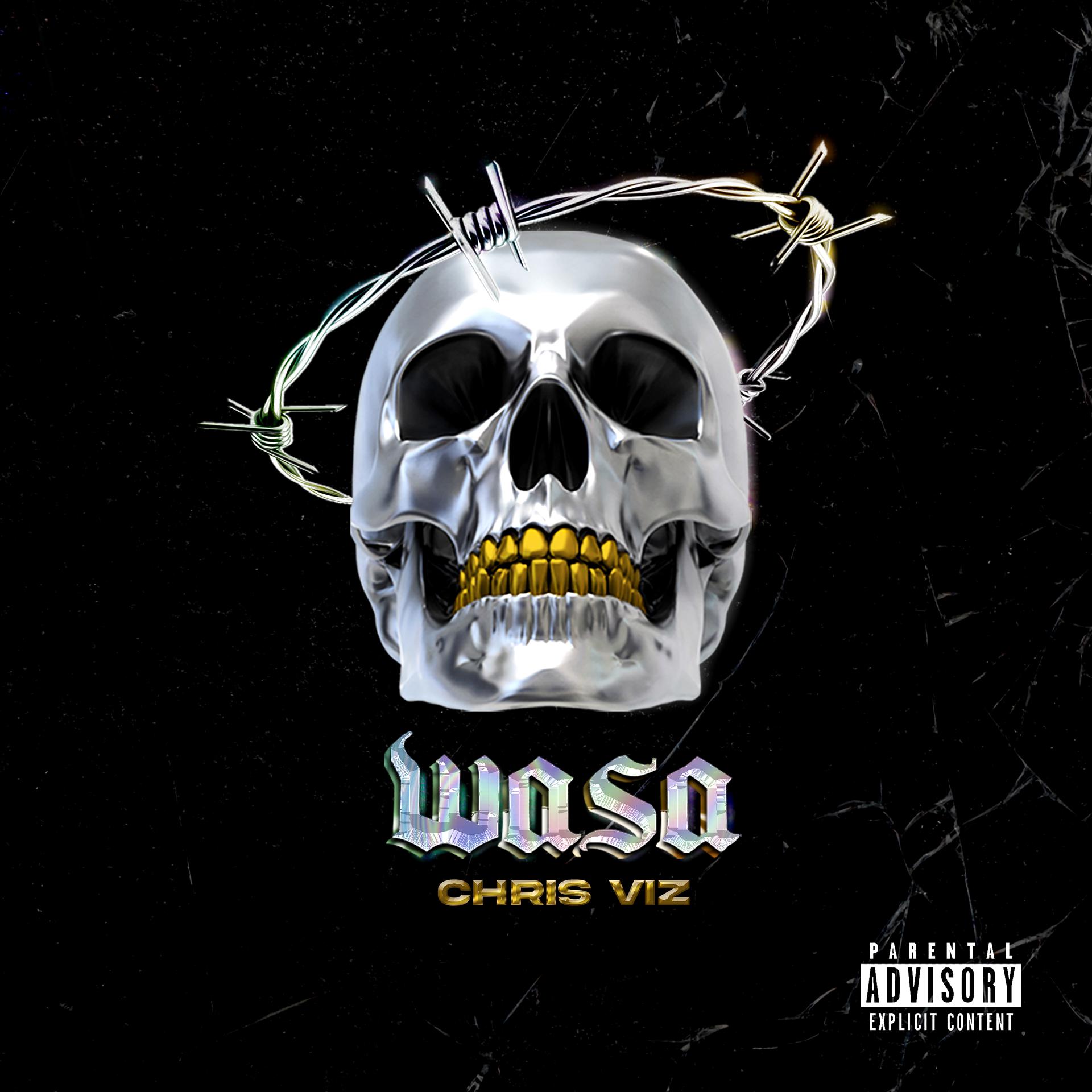 Постер альбома Wasa