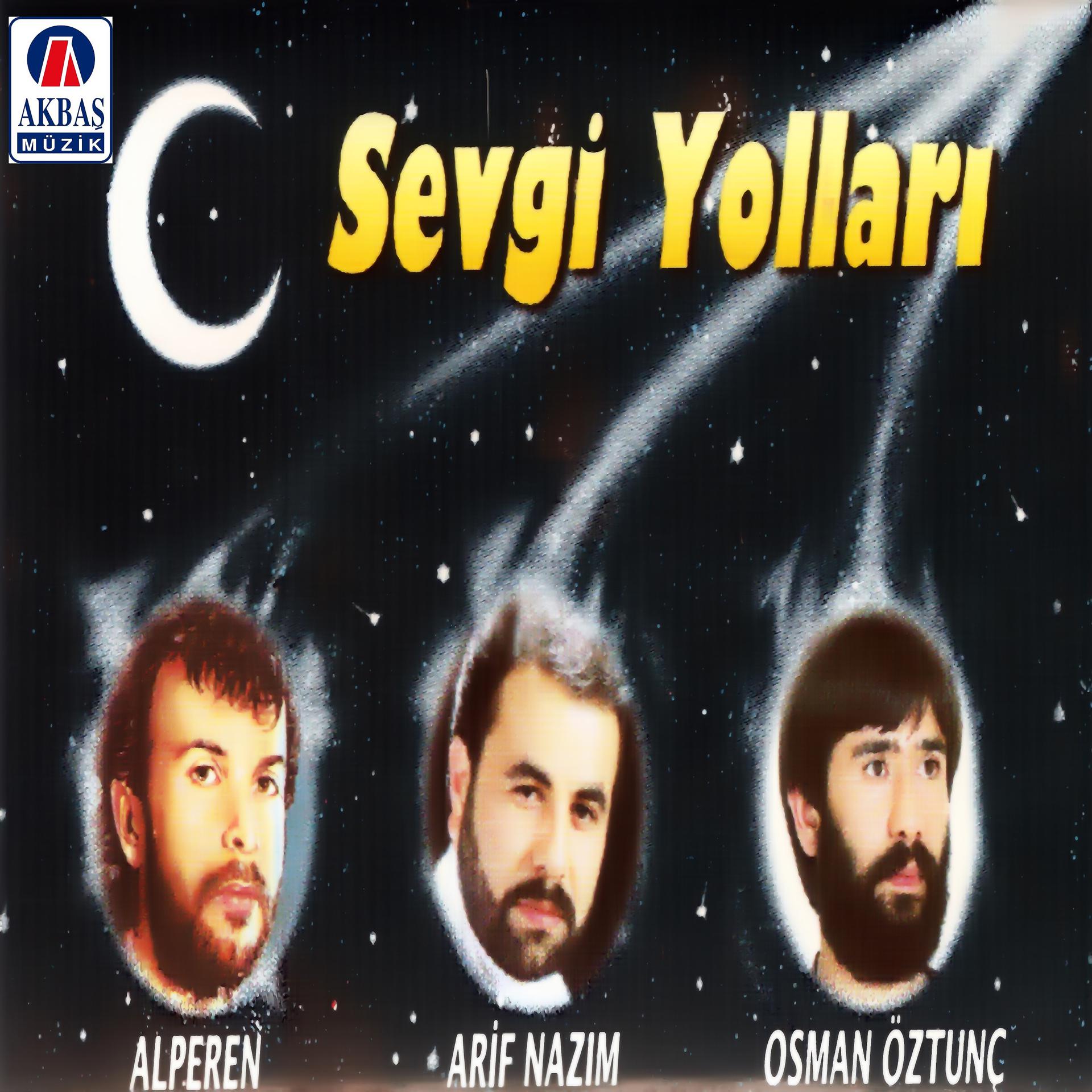 Постер альбома Sevgi Yolları