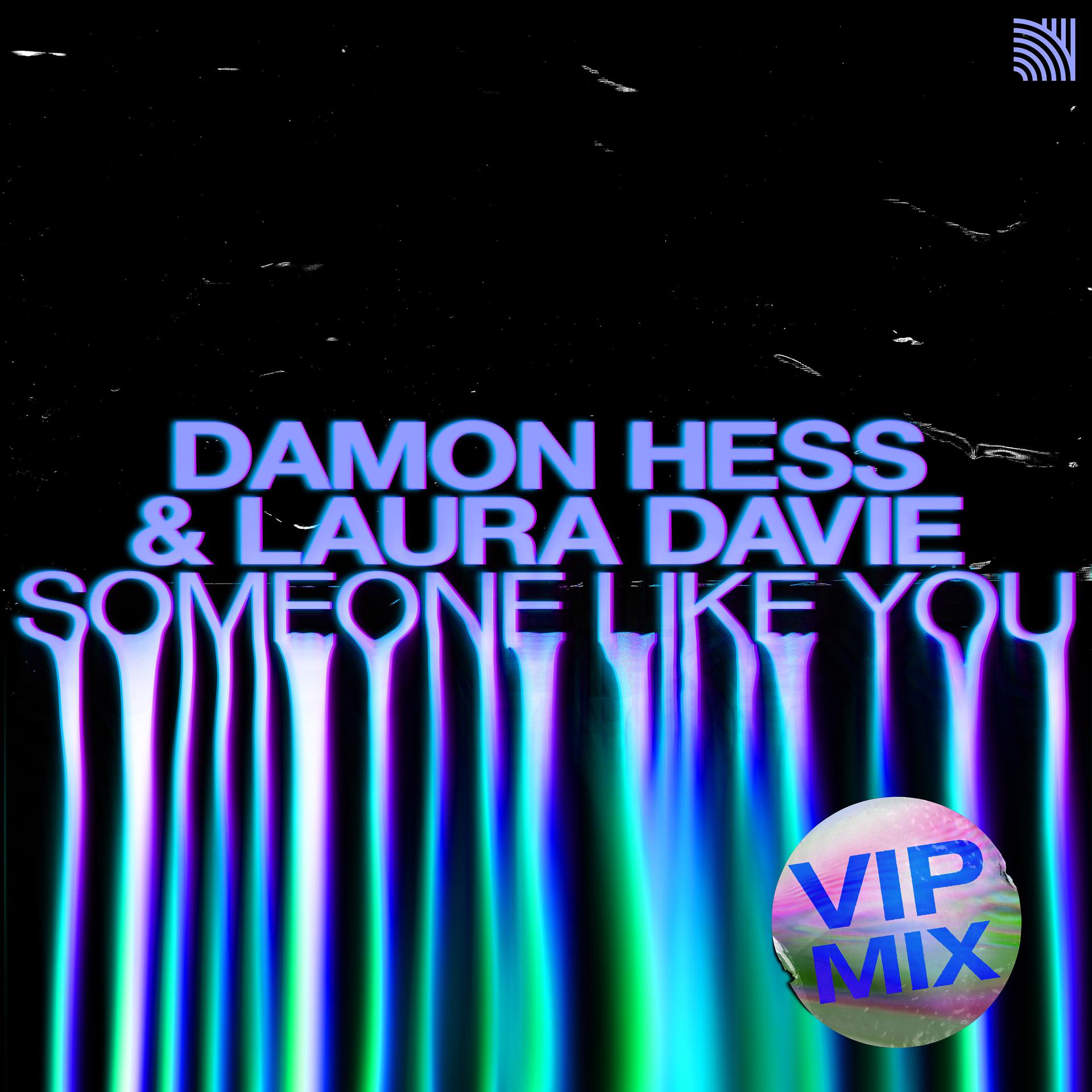 Постер альбома Someone Like You (VIP Mix)