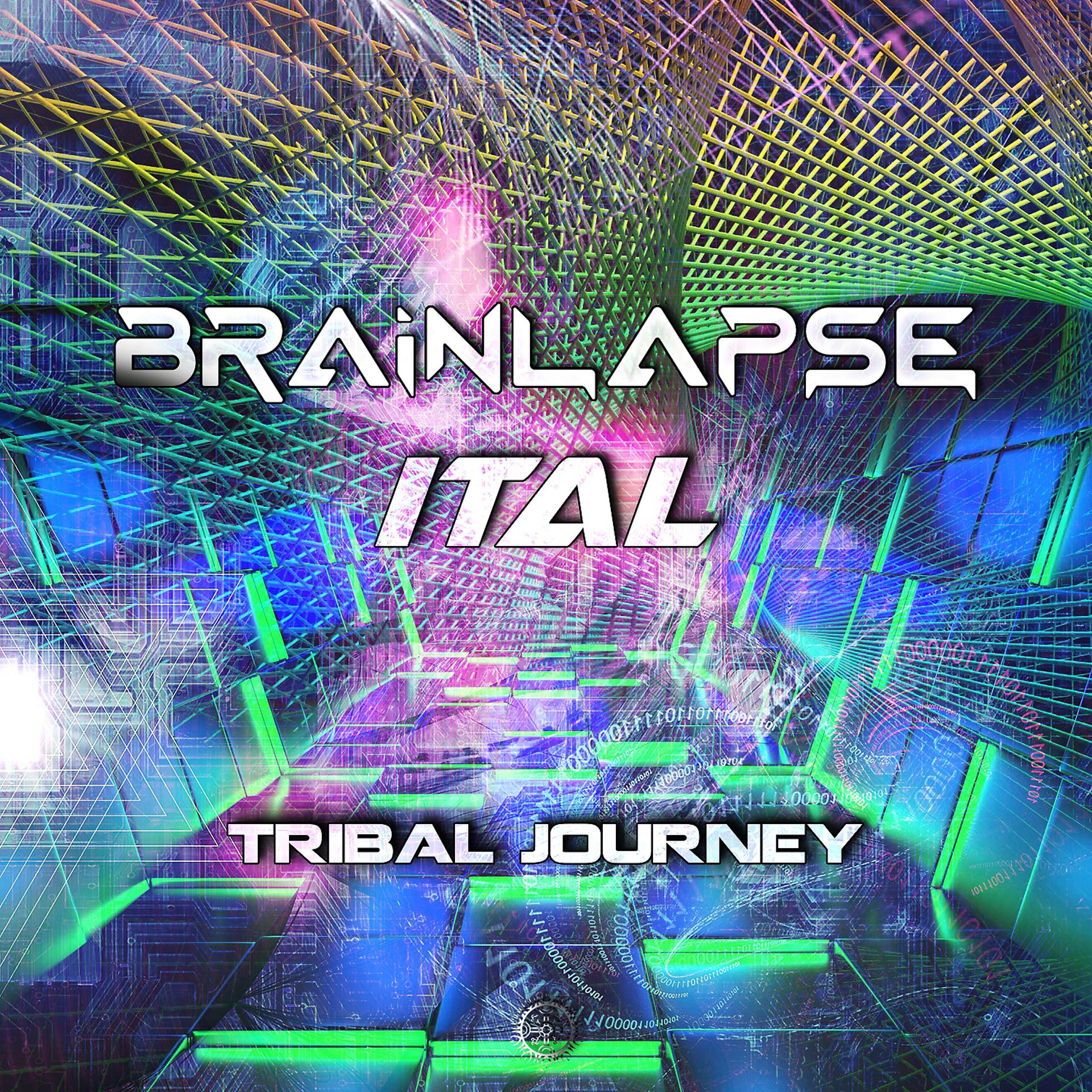 Постер альбома Tribal Journey