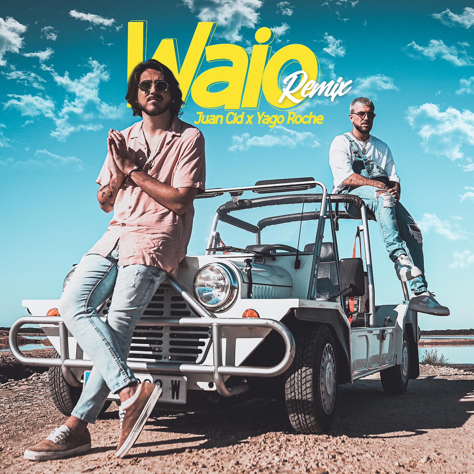 Постер альбома Waio