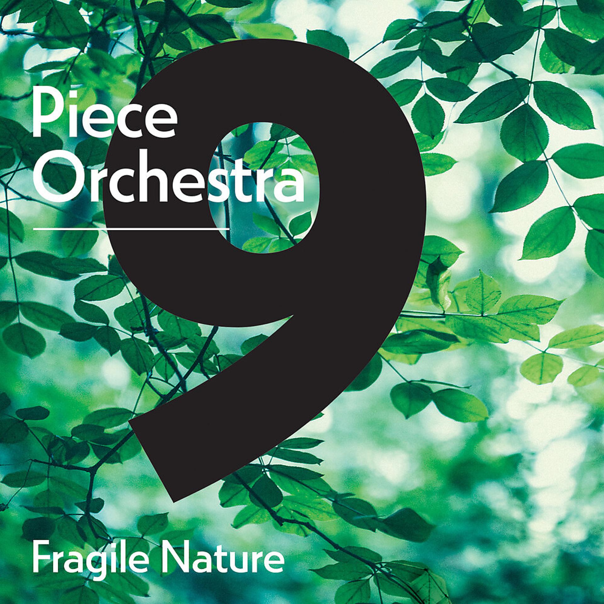 Постер альбома 9 Piece Orchestra: Fragile Nature