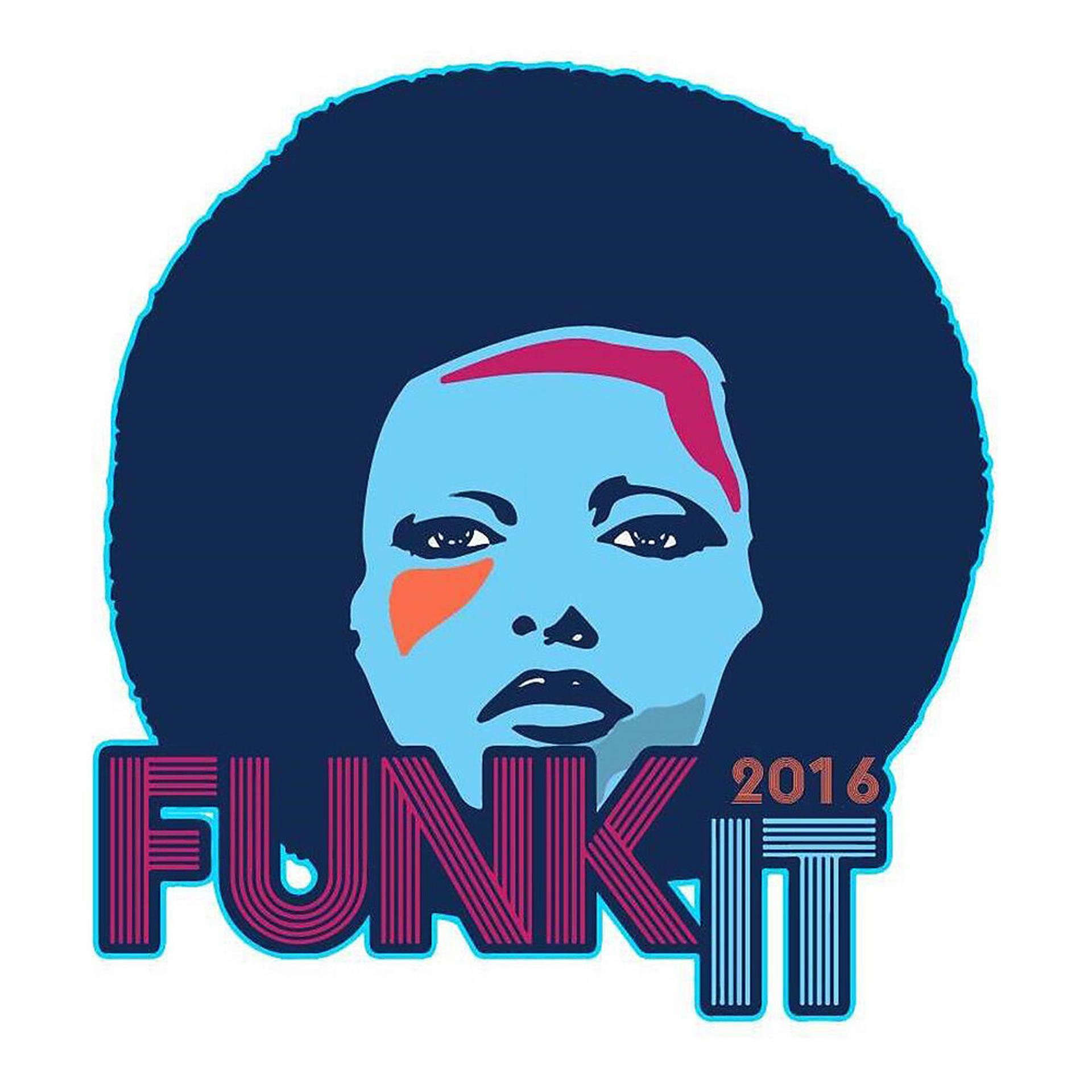 Постер альбома Funk It 2016