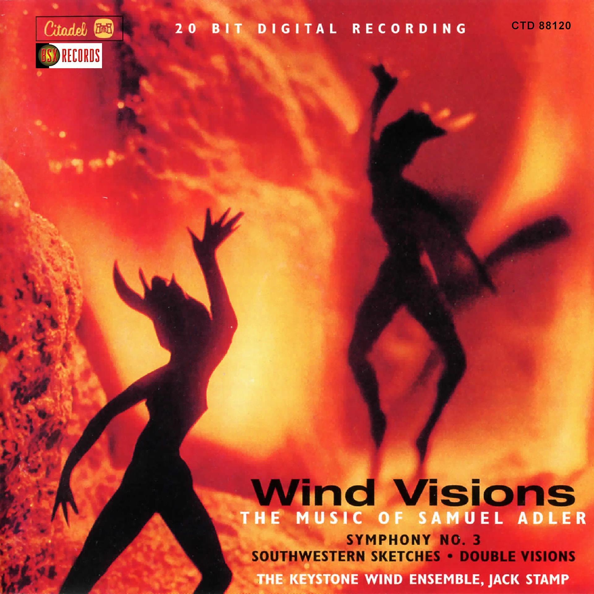 Постер альбома Wind Visions: The Music of Samuel Adler