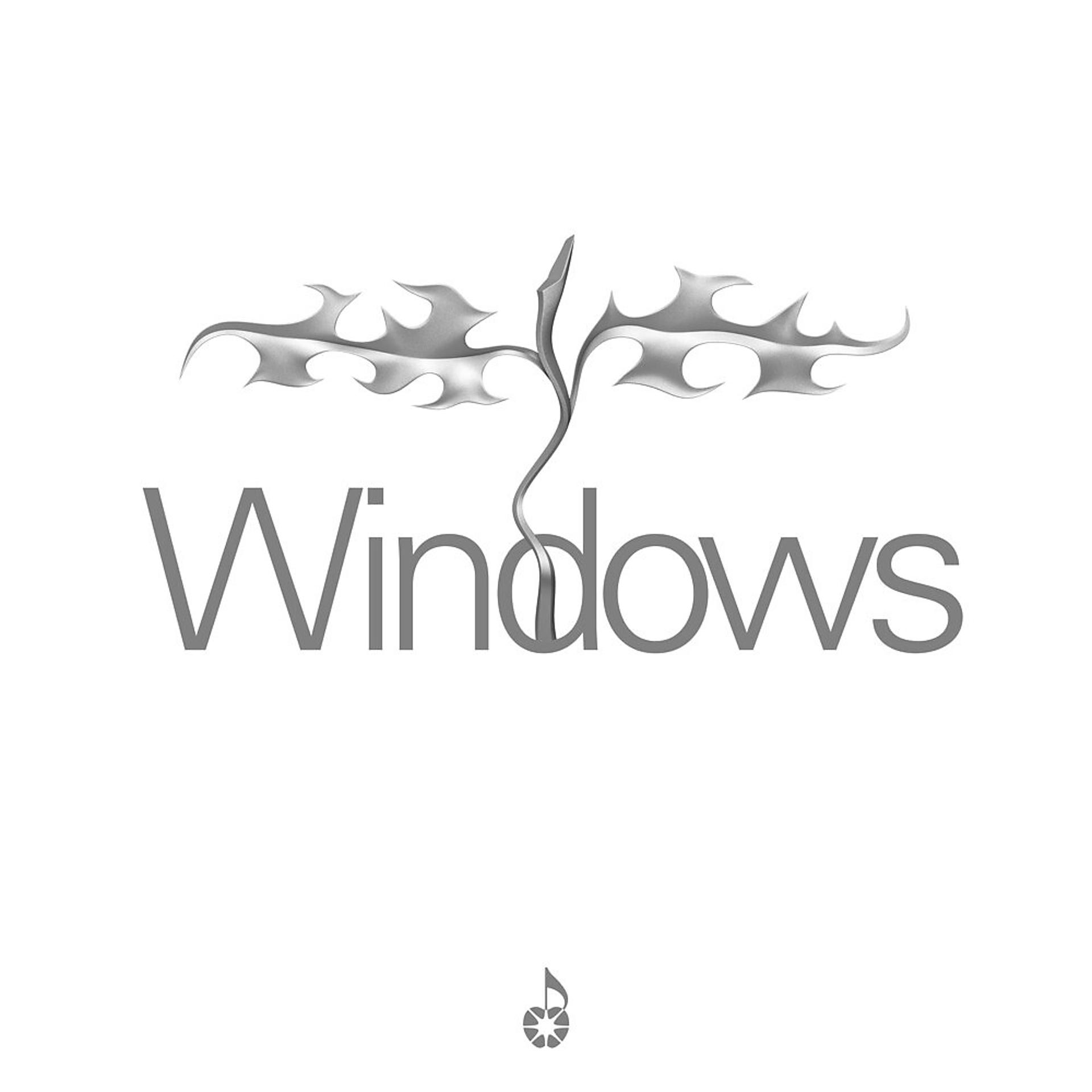 Постер альбома Windows