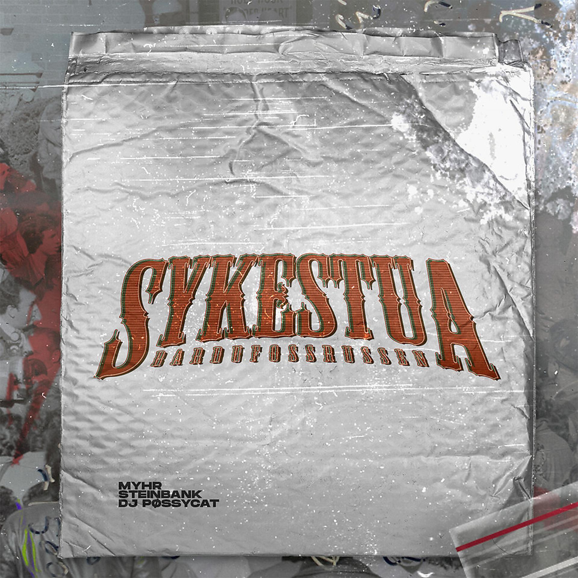 Постер альбома Sykestua 2021