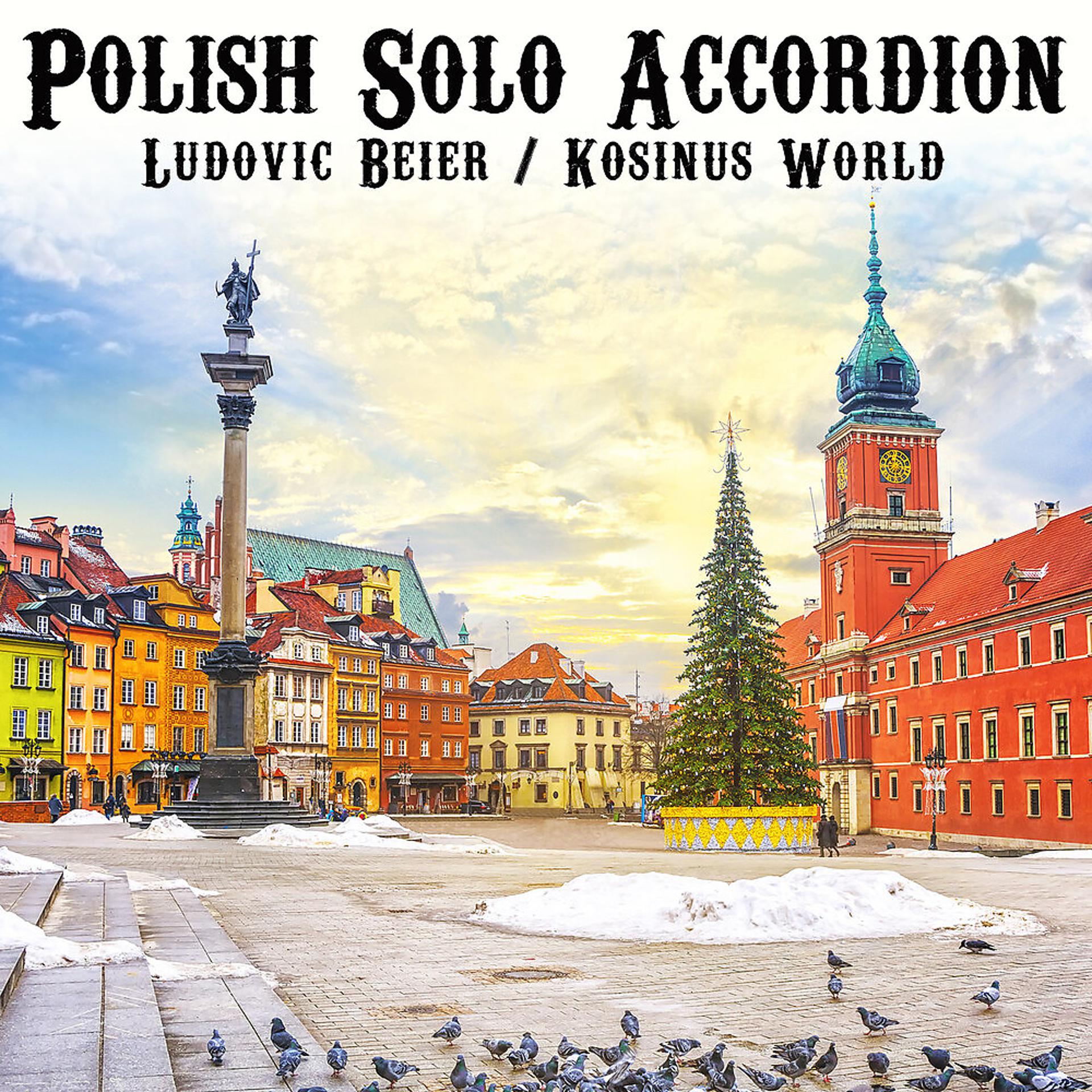 Постер альбома Polish Solo Accordion