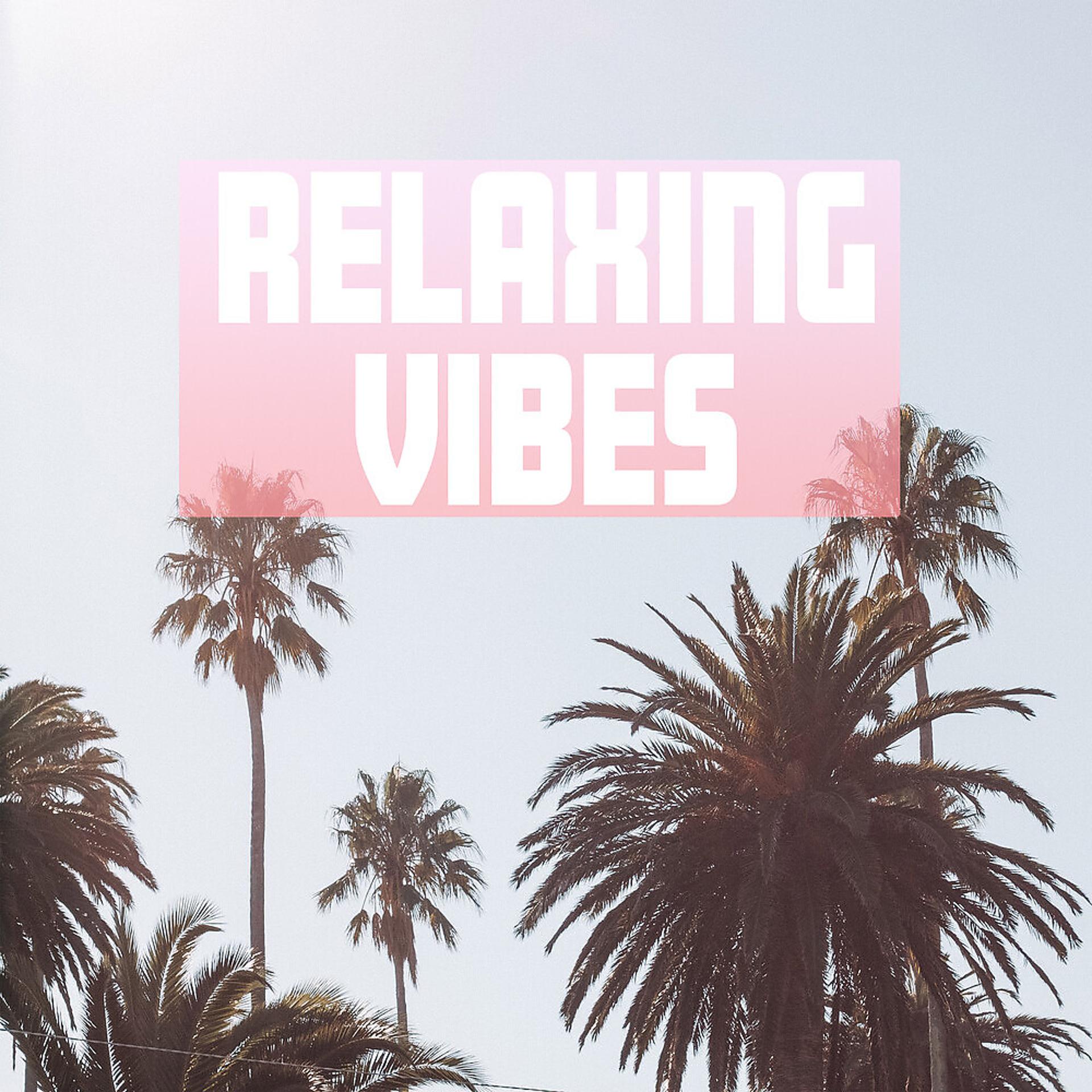 Постер альбома Relaxing Vibes