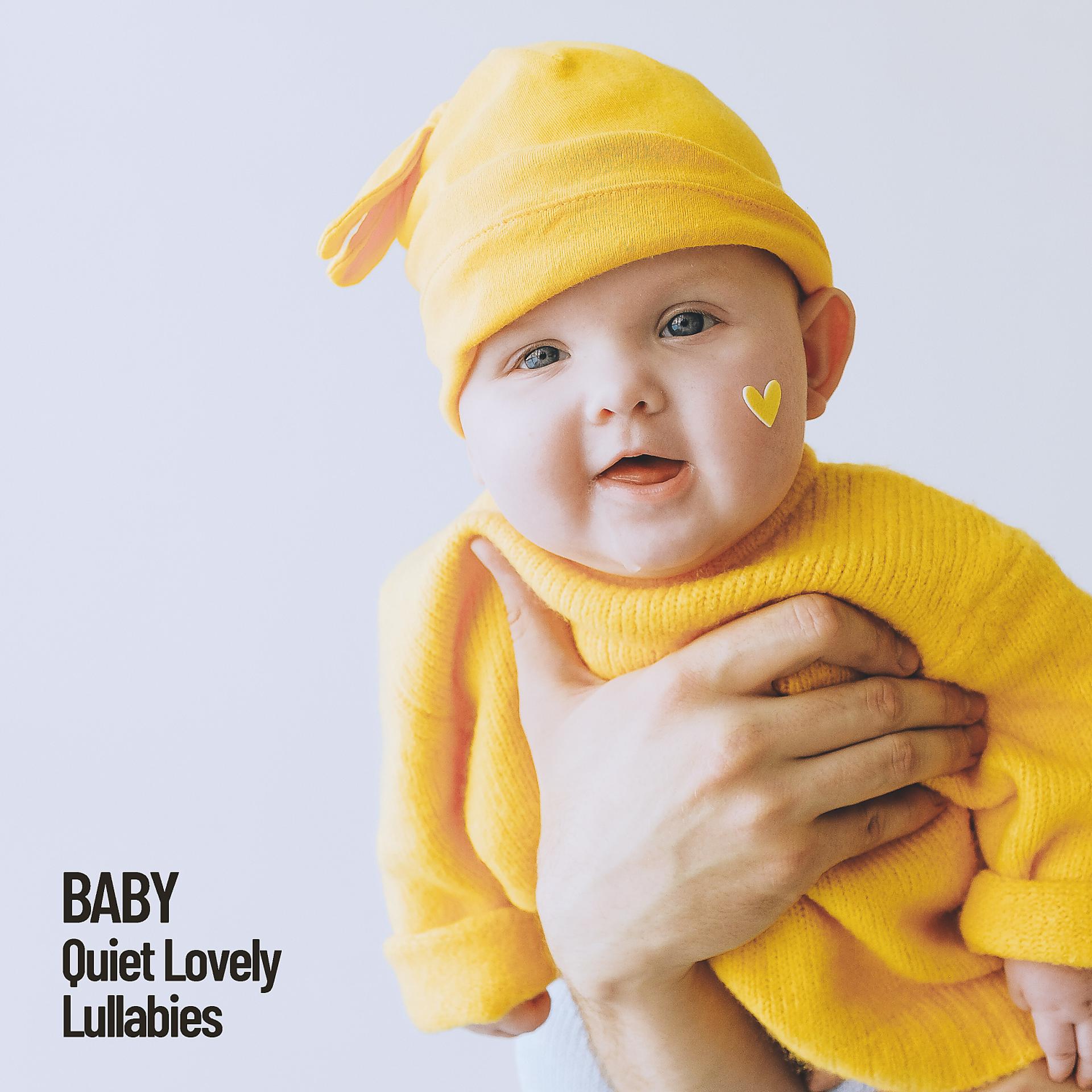 Постер альбома Baby: Quiet Lovely Lullabies