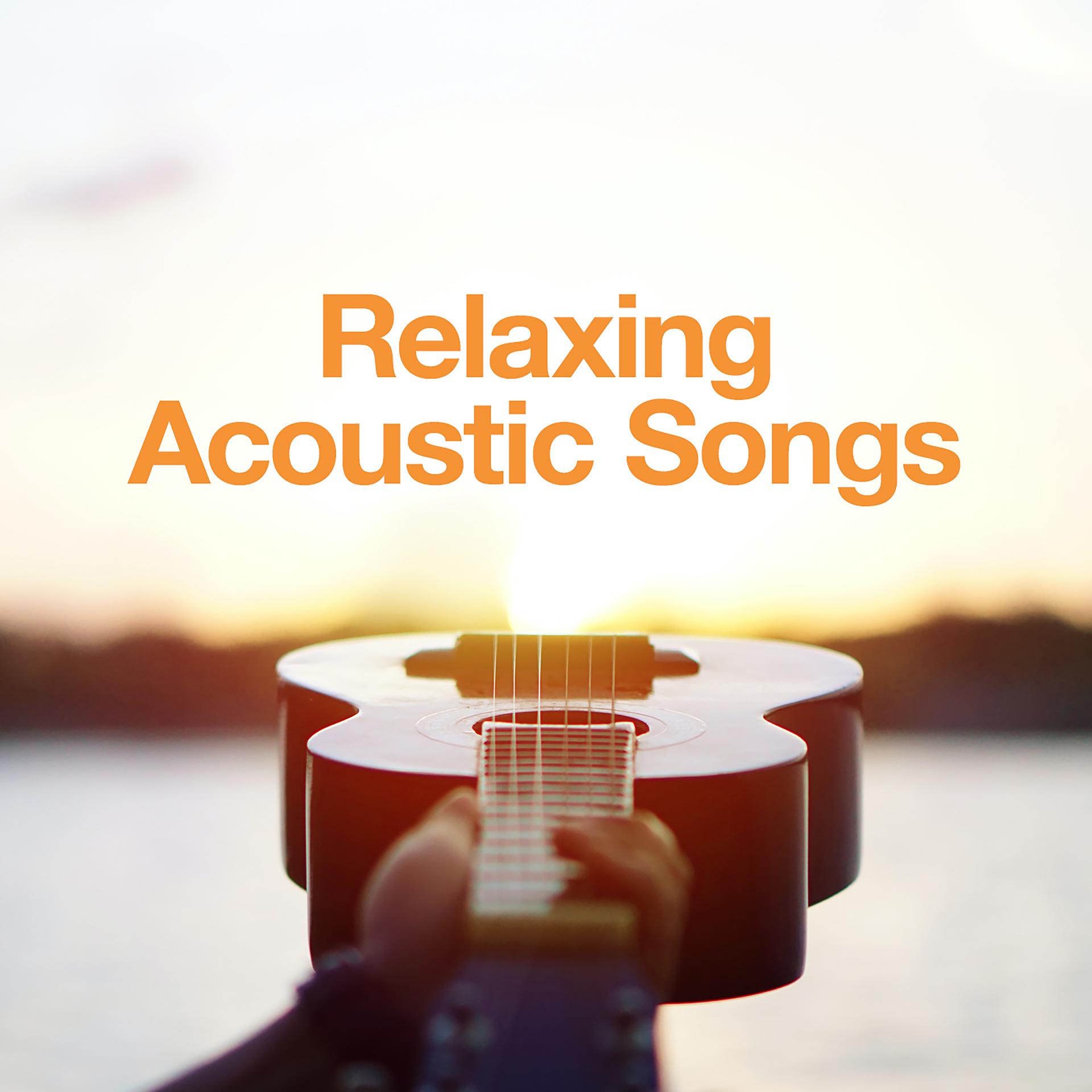 Постер альбома Relaxing Acoustic Songs