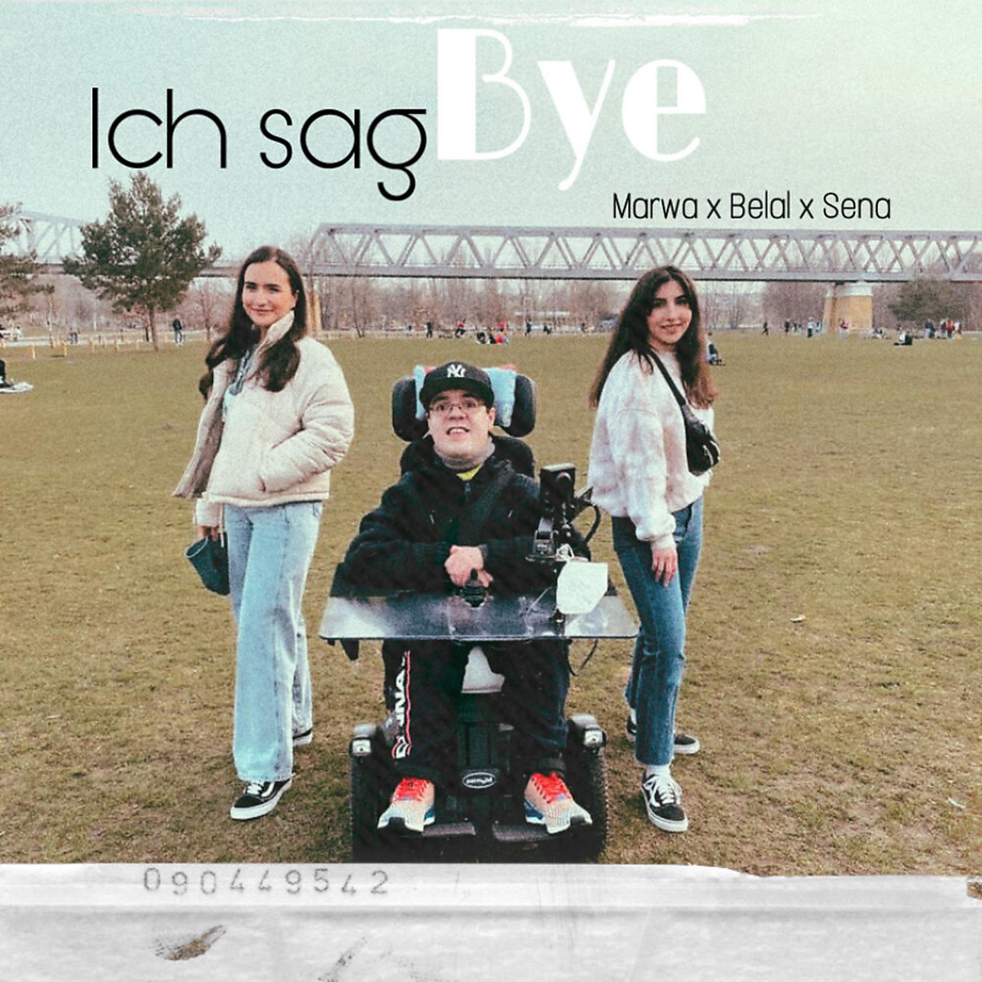 Постер альбома Ich sag Bye