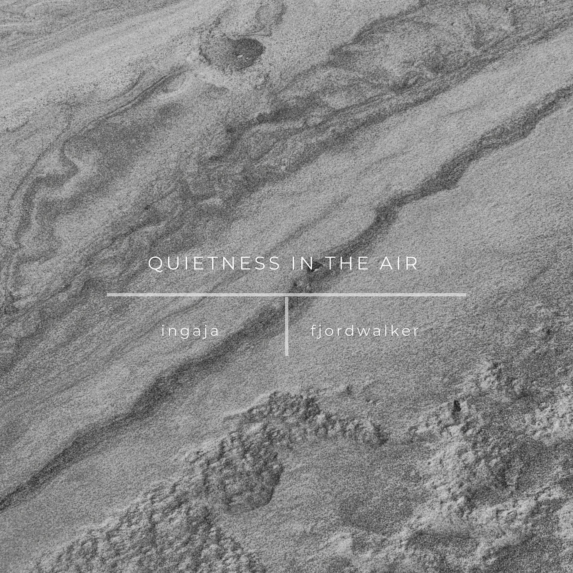 Постер альбома Quietness in the Air (Fjordwalker Remix)