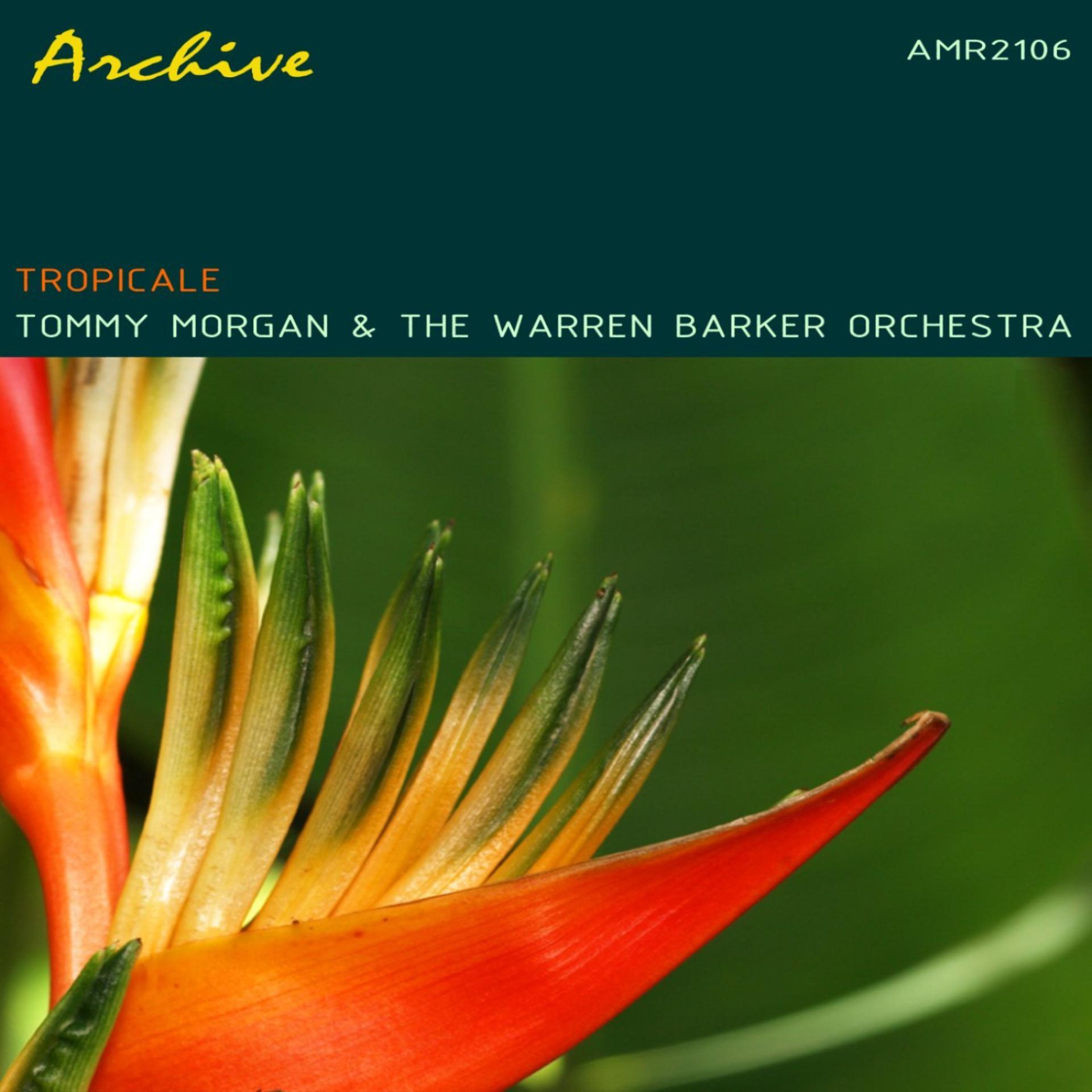 Постер альбома Tropicale