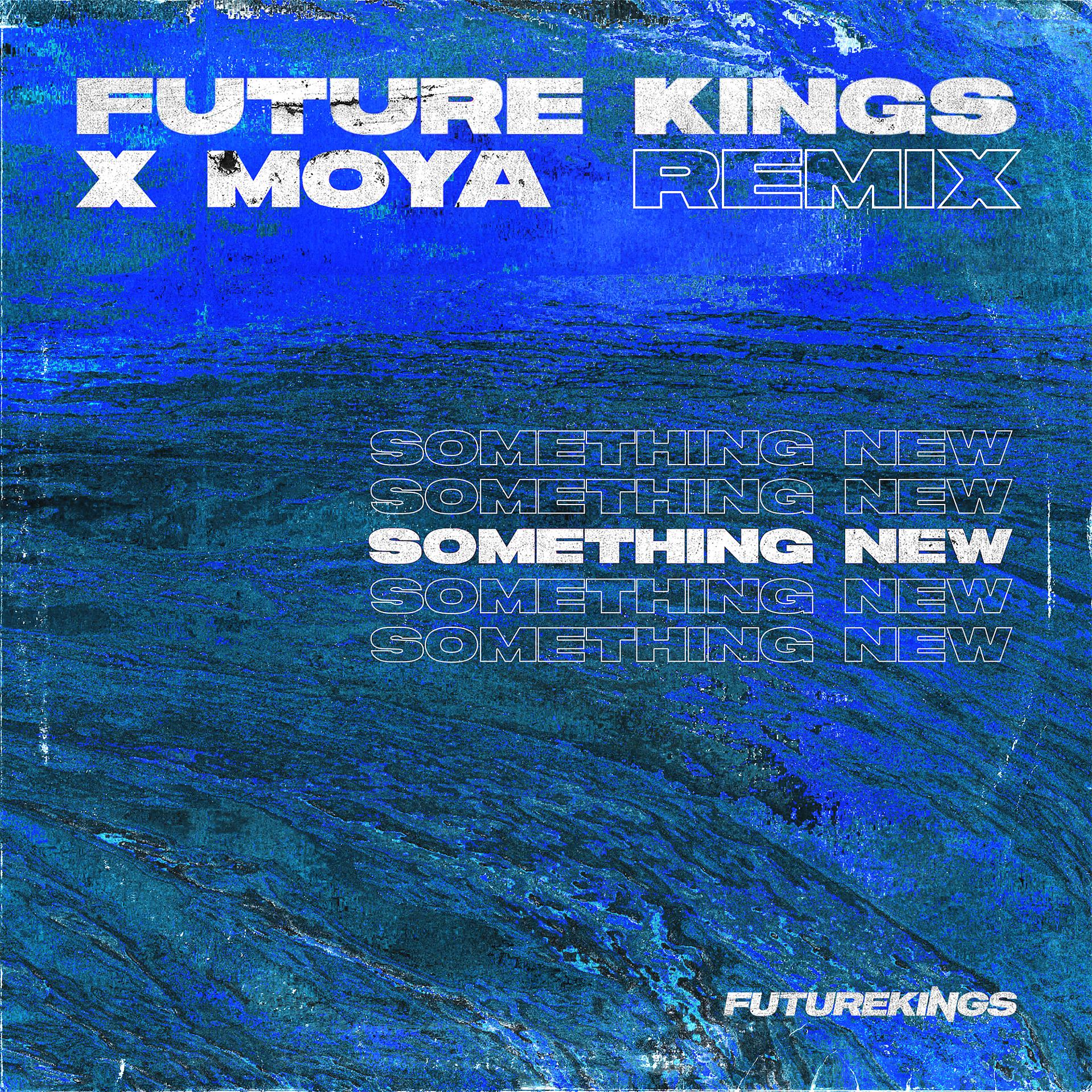 Постер альбома Something New (Future Kings Remix)