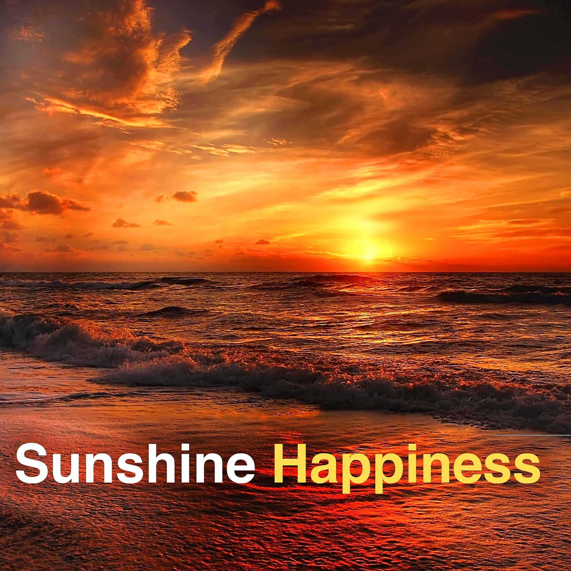 Постер альбома Sunshine Happiness