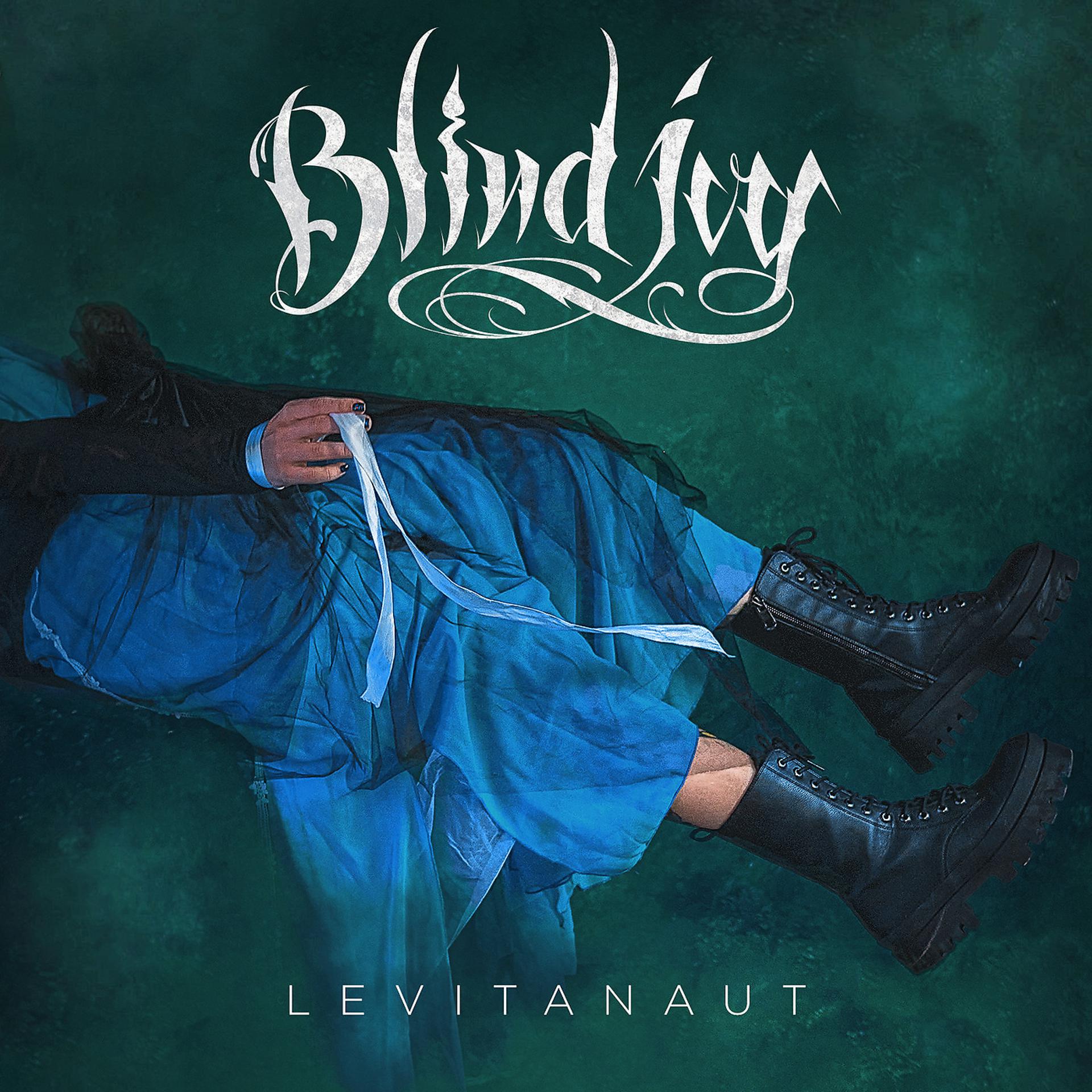 Постер альбома Levitanaut