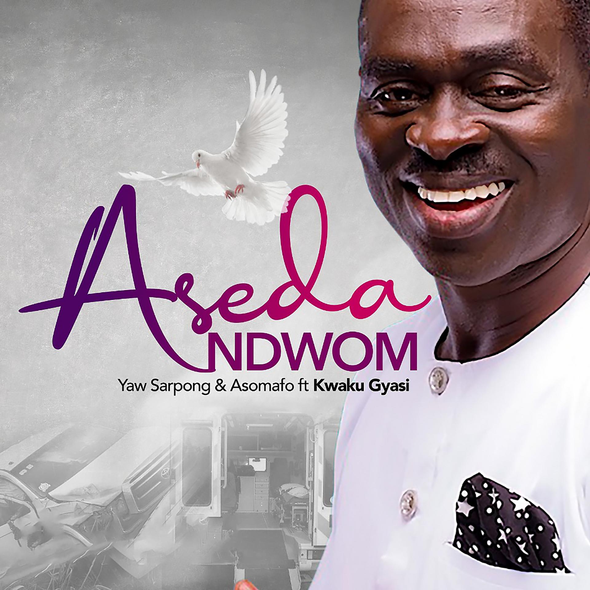 Постер альбома Aseda Ndwom