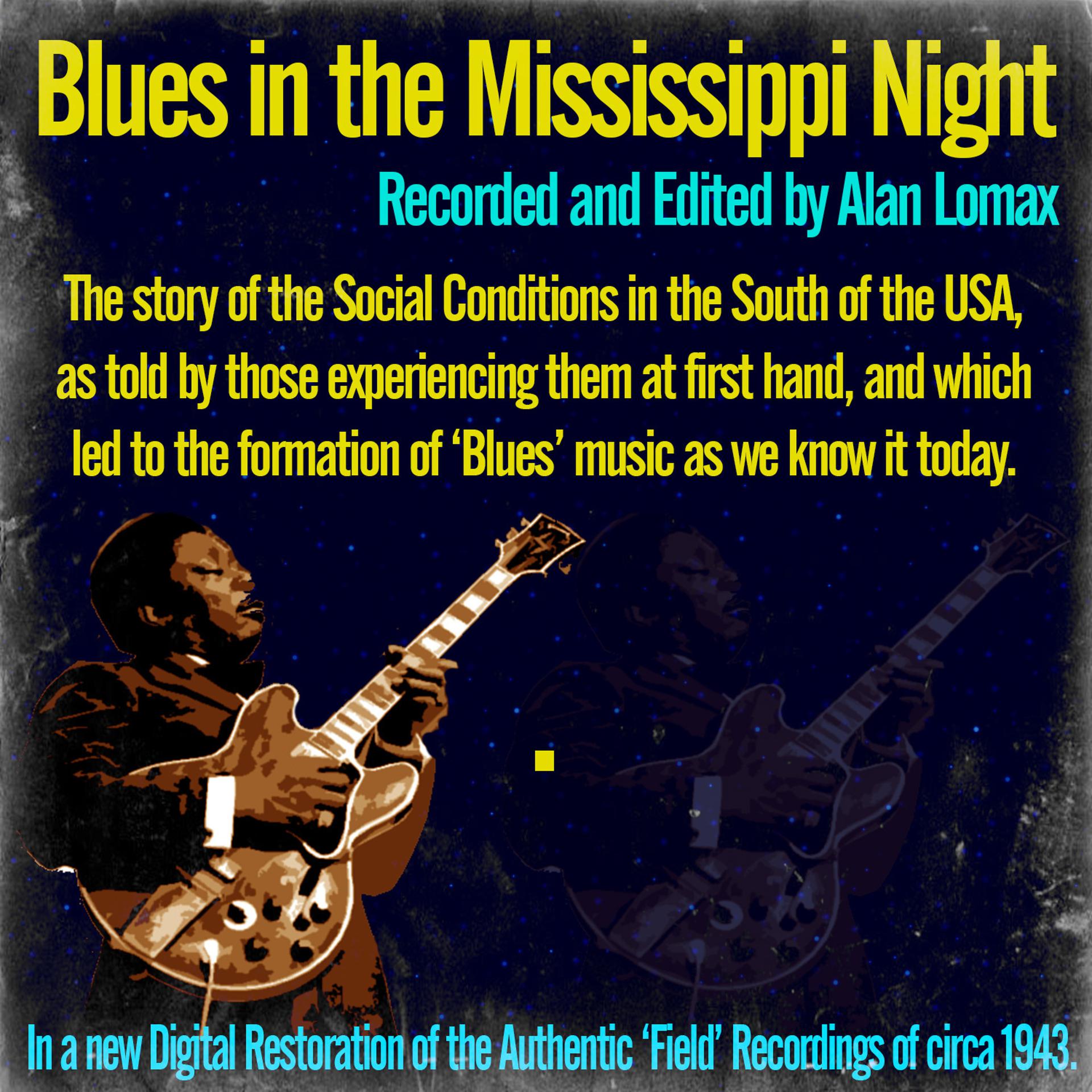 Постер альбома Blues in the Mississippi Night