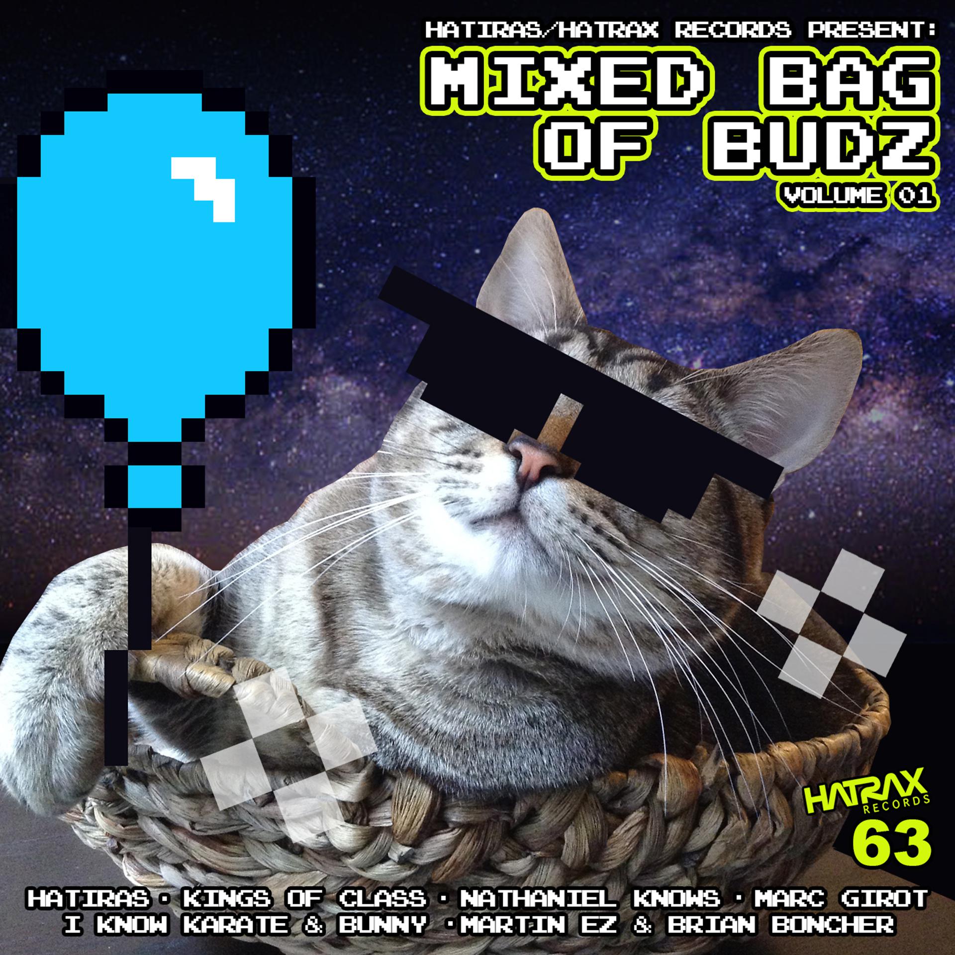 Постер альбома Mixed Bag of Budz, Vol. 1