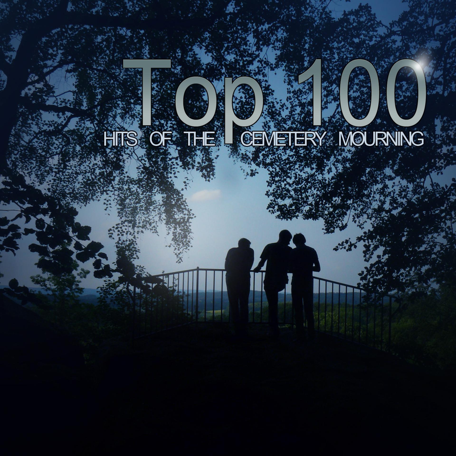 Постер альбома Top 100 Hits Of The Cemetery Mourning