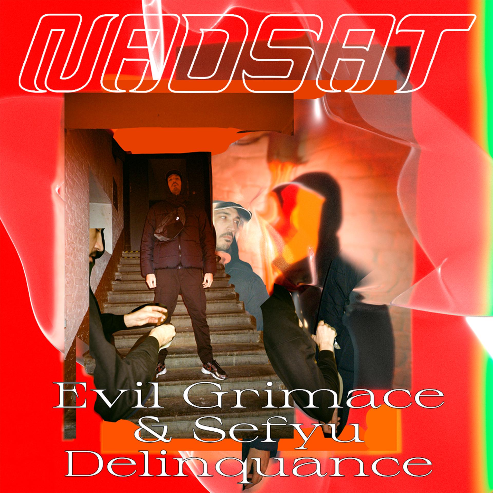 Постер альбома Délinquance