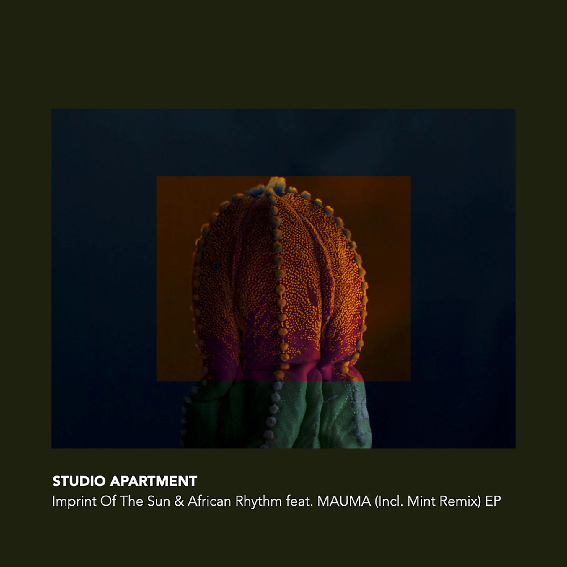 Постер альбома Imprint Of The Sun & African Rhythm EP