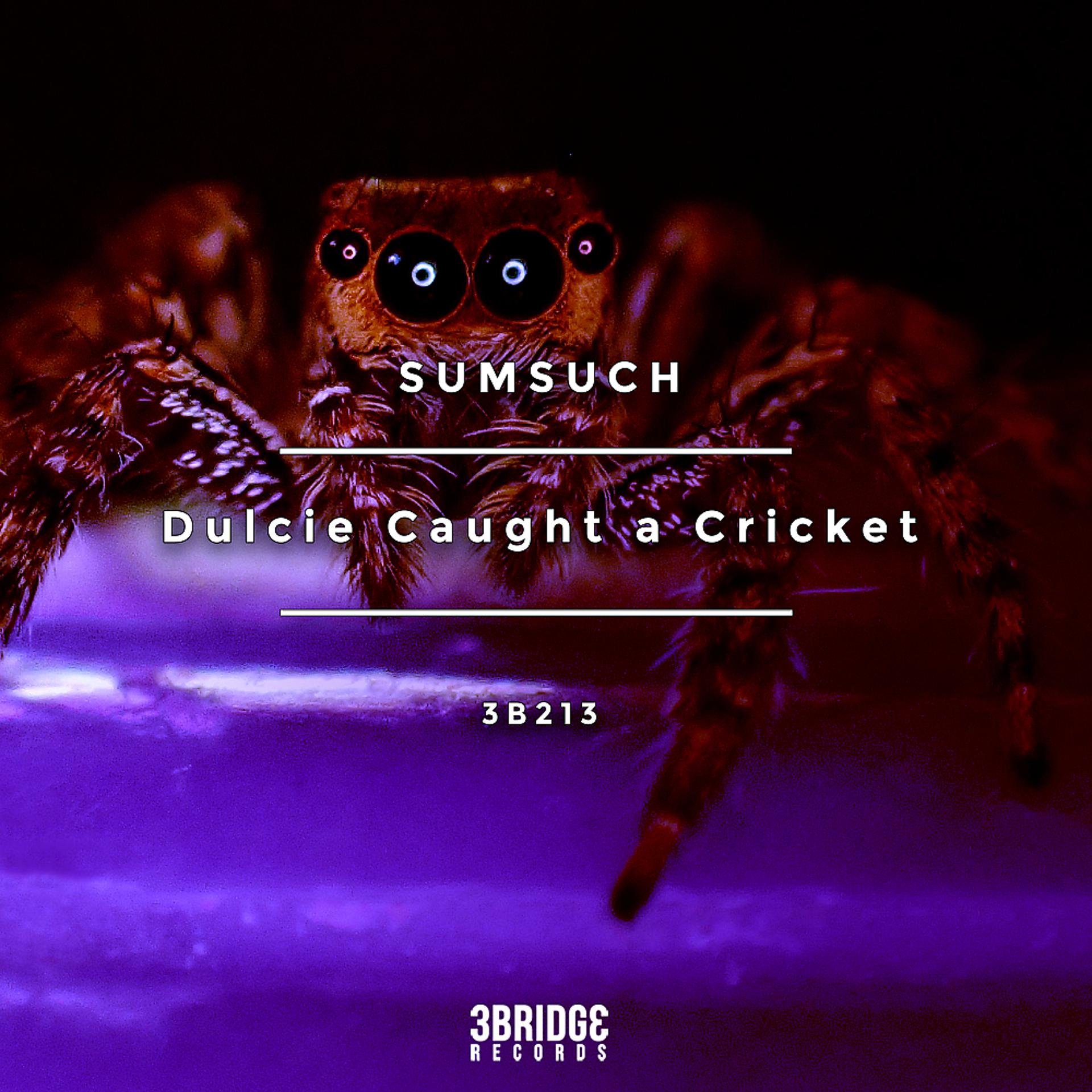 Постер альбома Dulcie Caught a Cricket