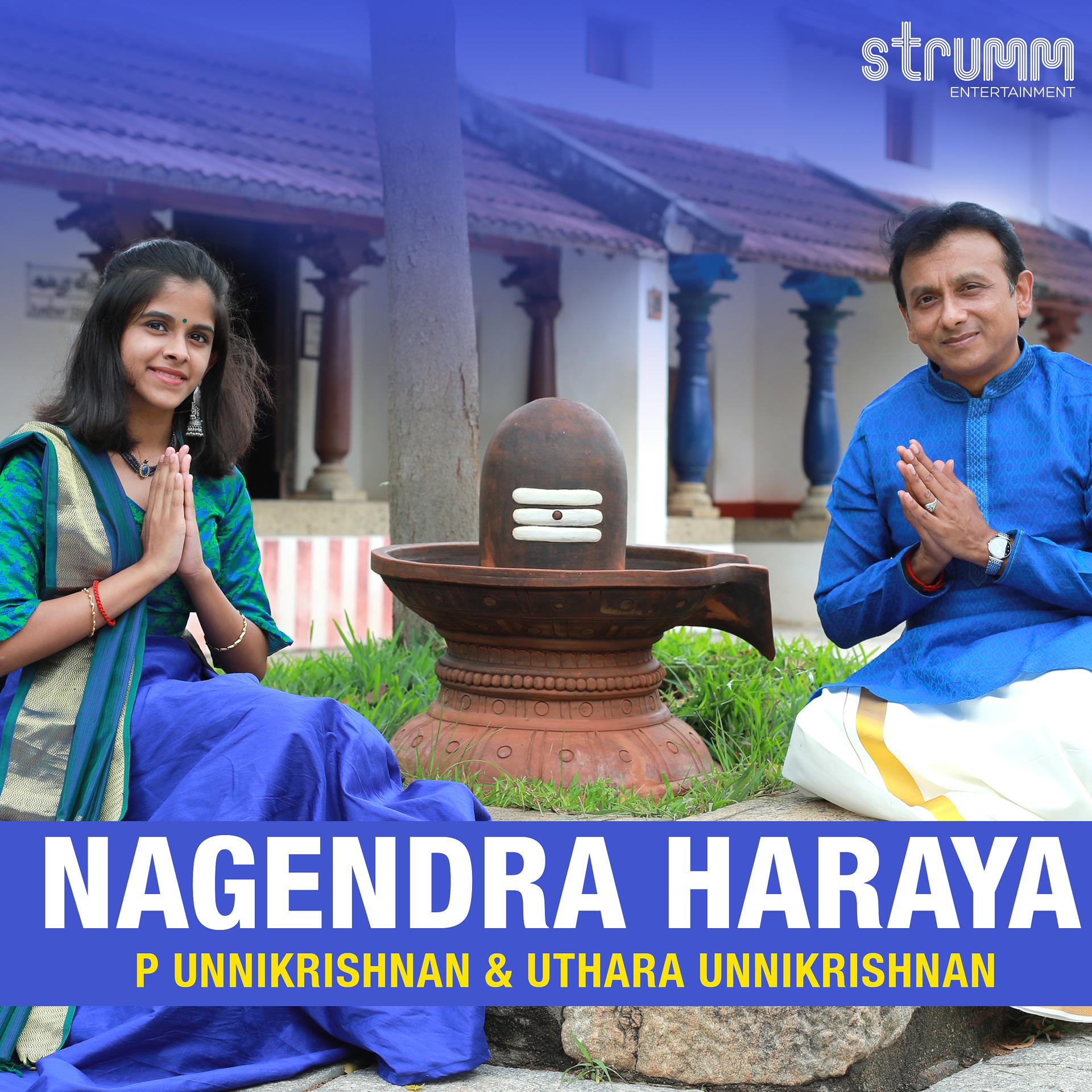 Постер альбома Nagendra Haraya