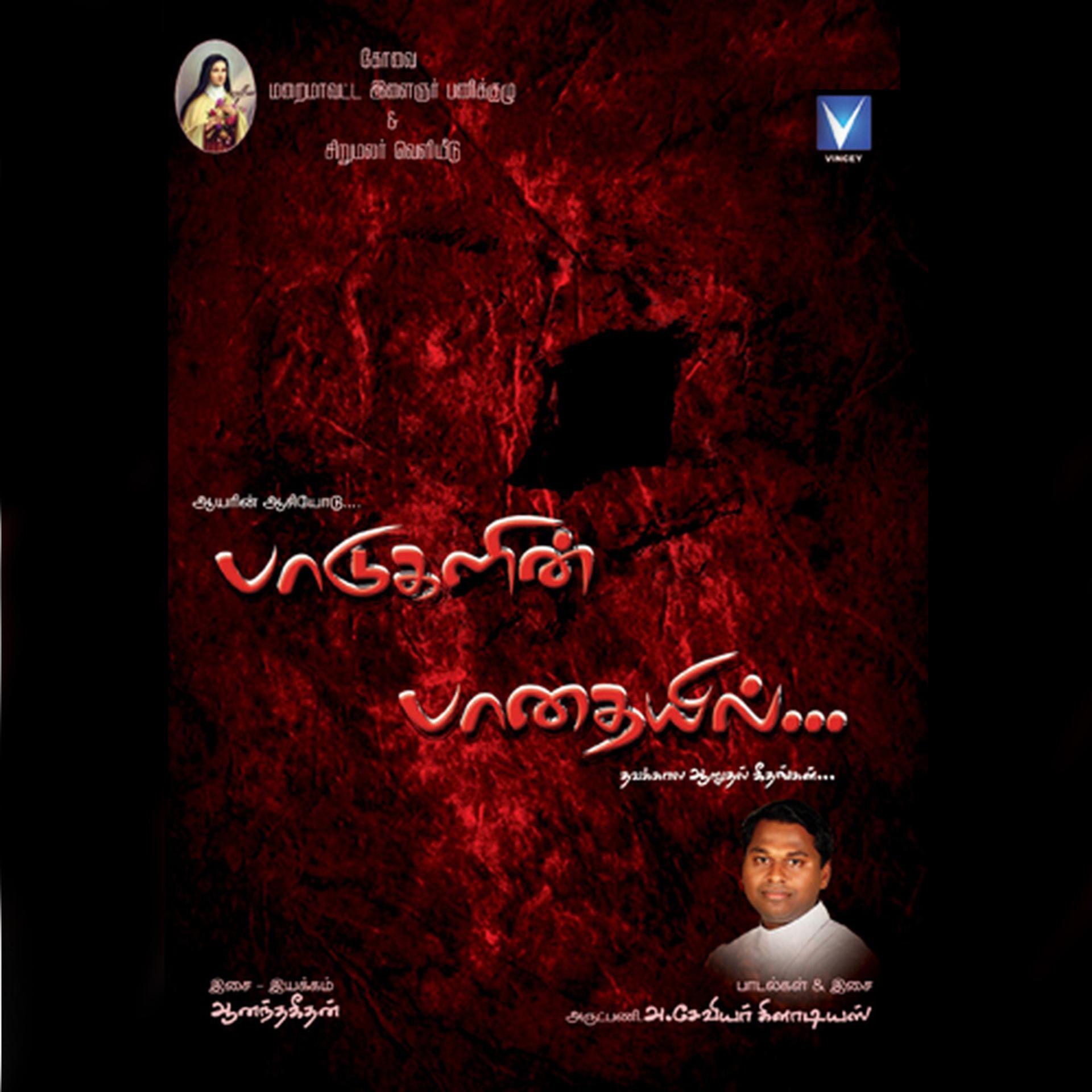 Постер альбома Padukalin Paathayil