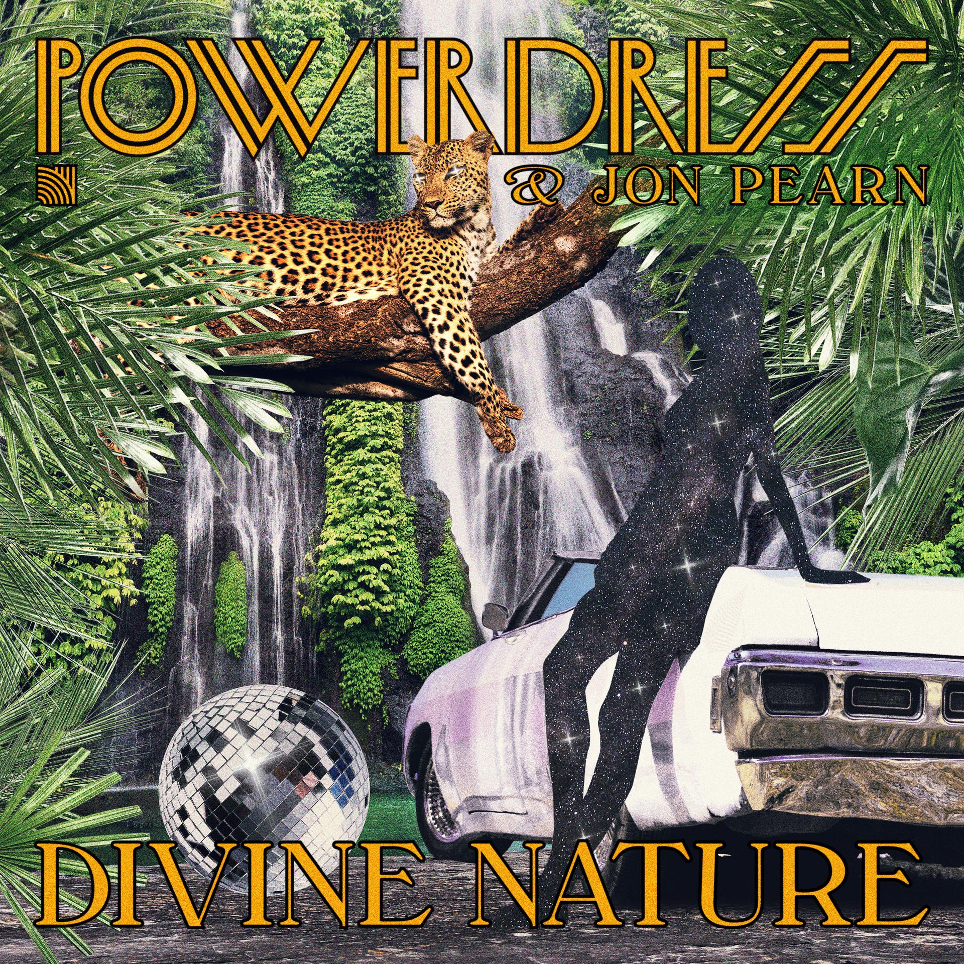 Постер альбома Divine Nature