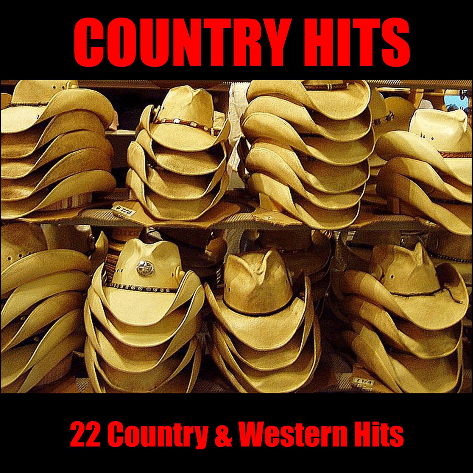 Постер альбома Country Hits: 22 Country & Western Hits