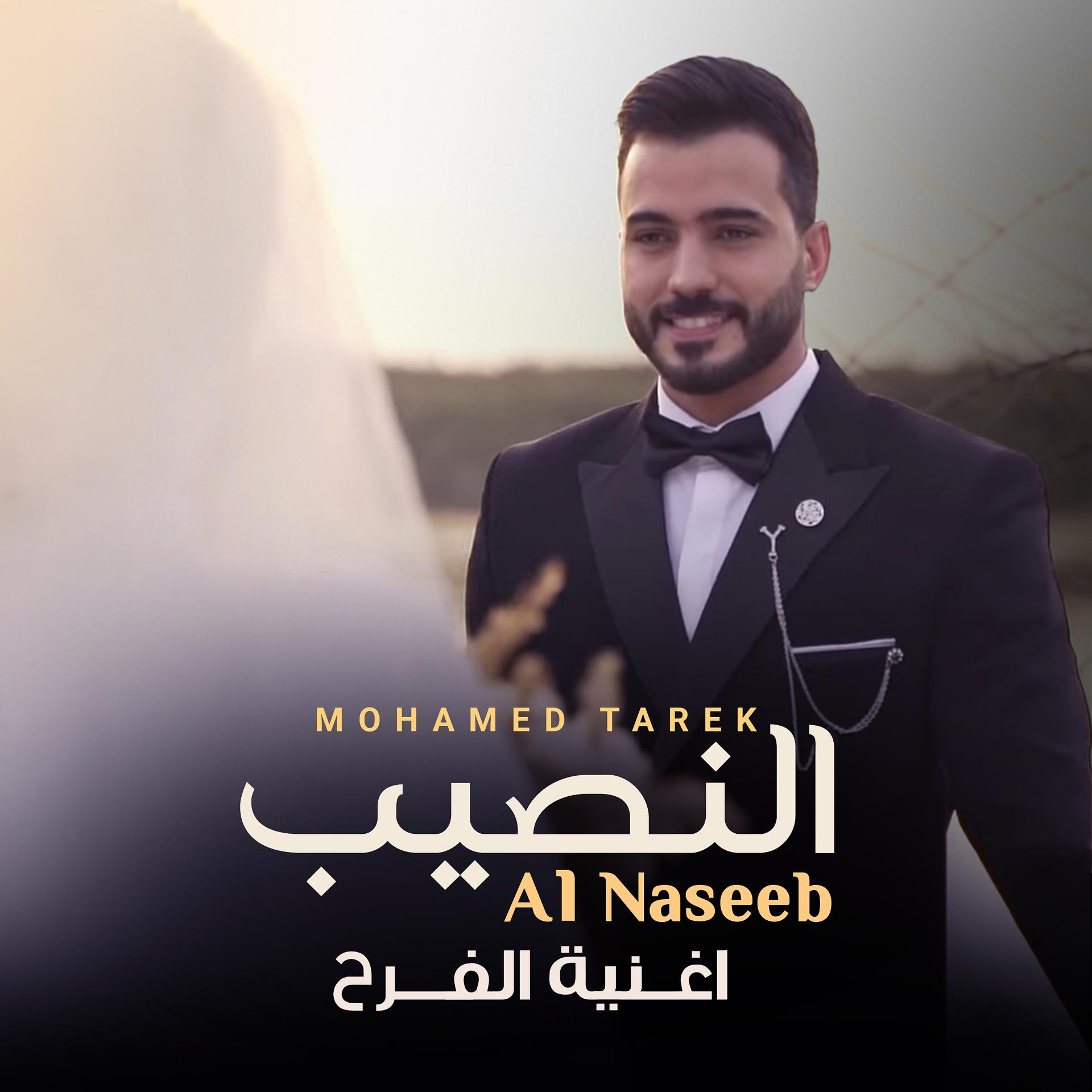 Постер альбома Al Naseeb