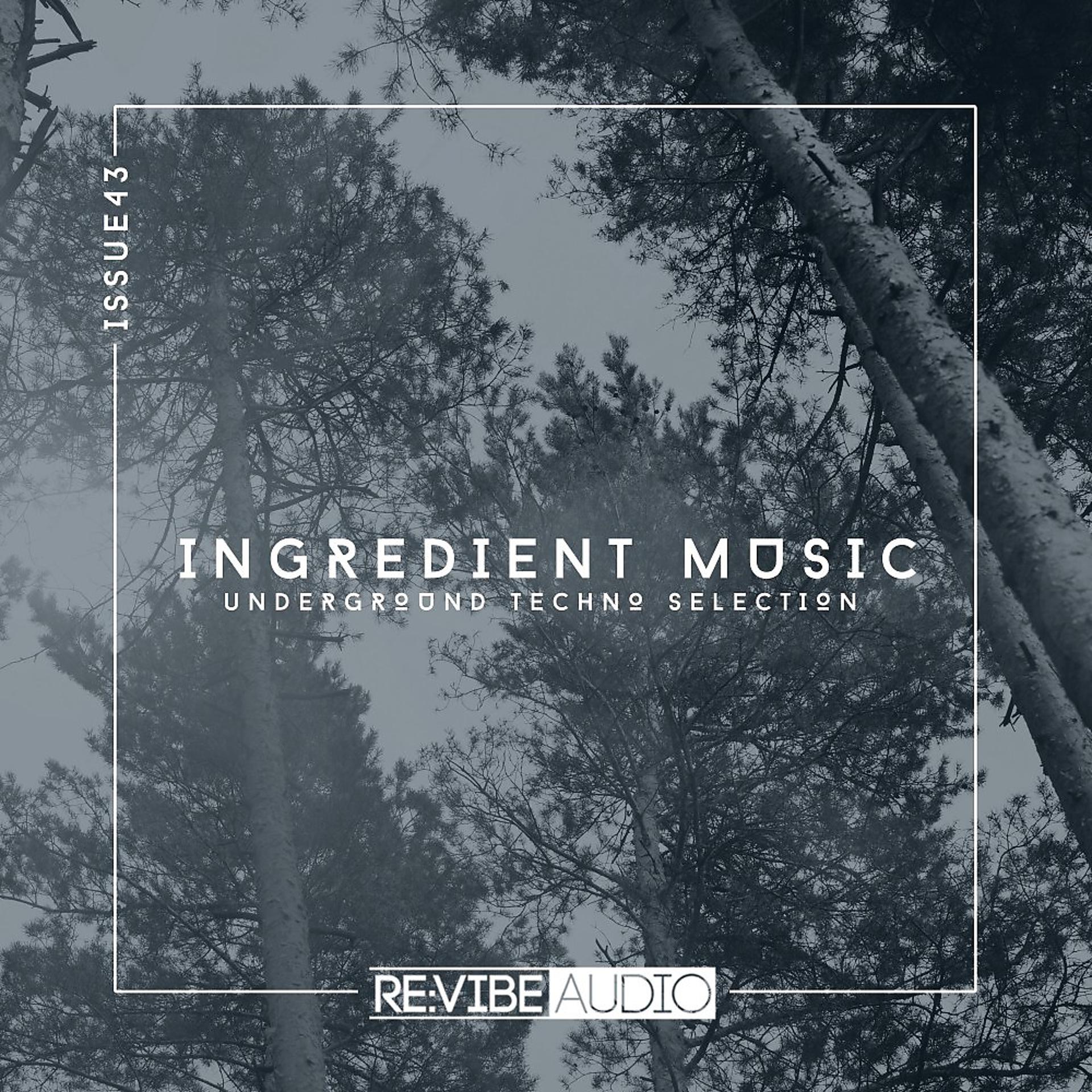 Постер альбома Ingredient Music, Vol. 43