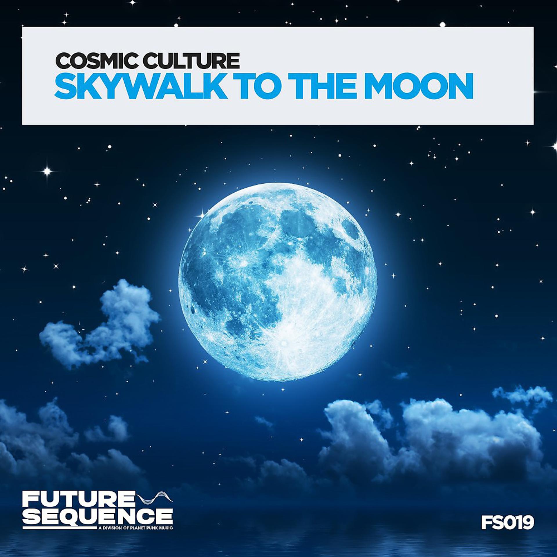 Постер альбома Skywalk to the Moon