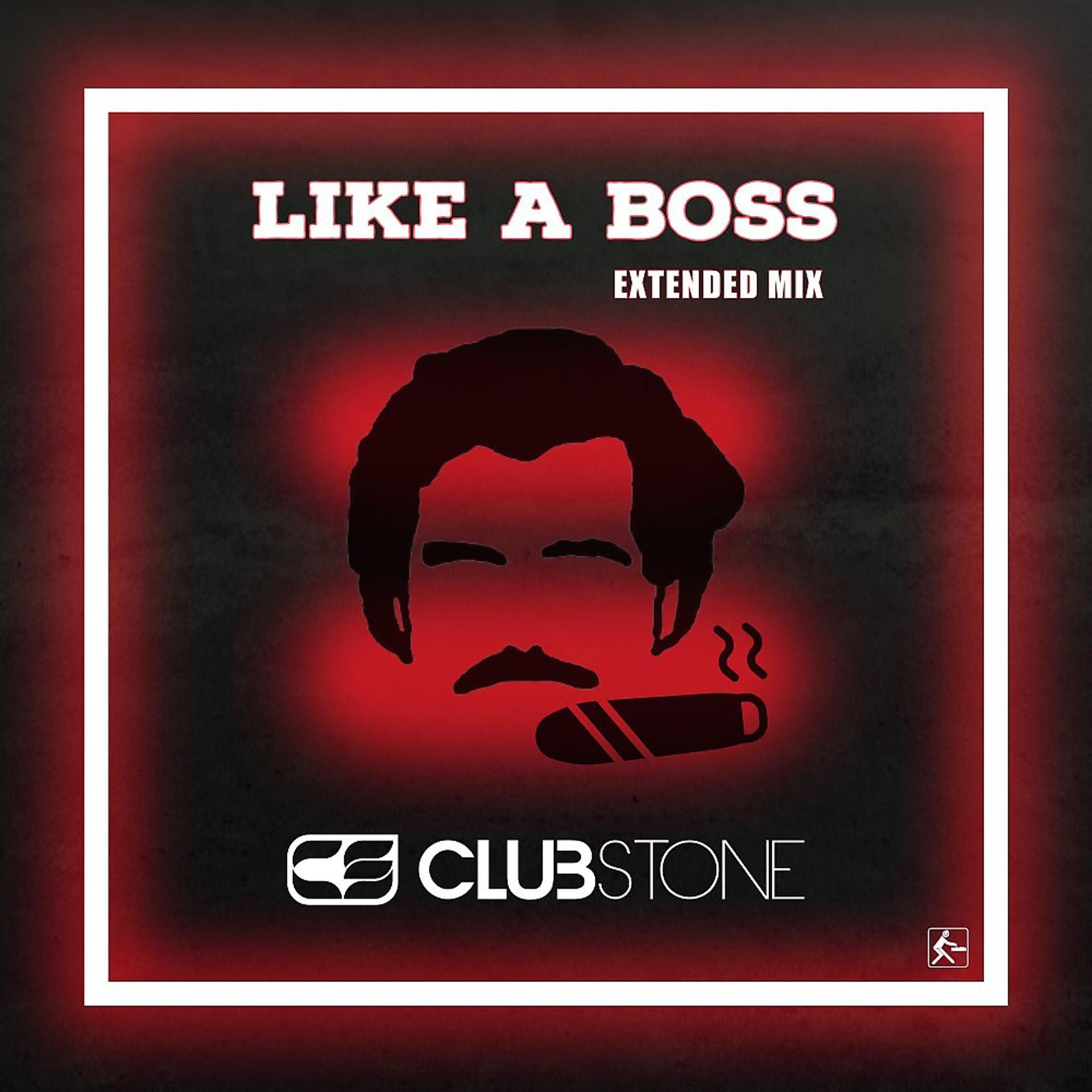 Постер альбома Like a Boss (Extended Mix)