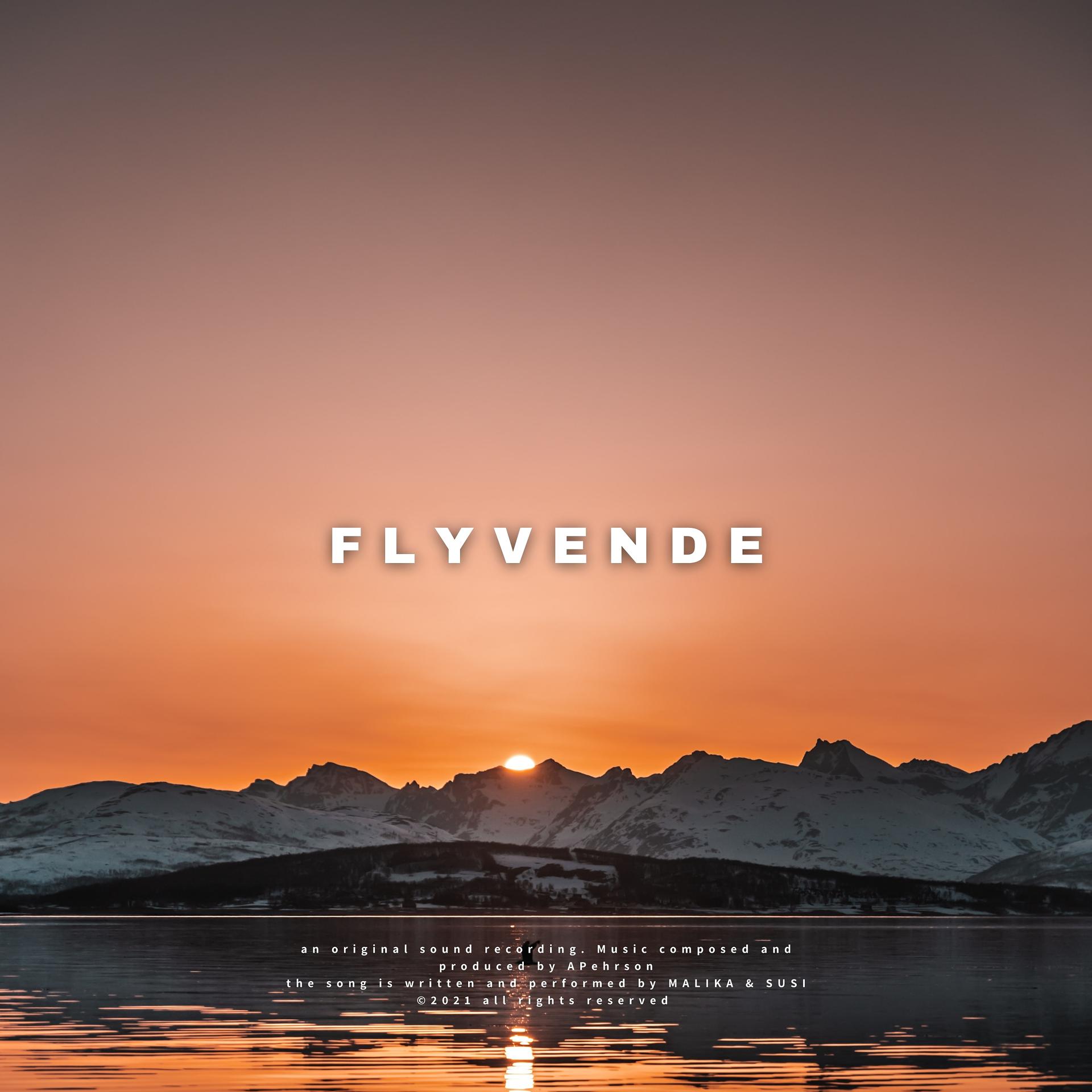 Постер альбома Flyvende