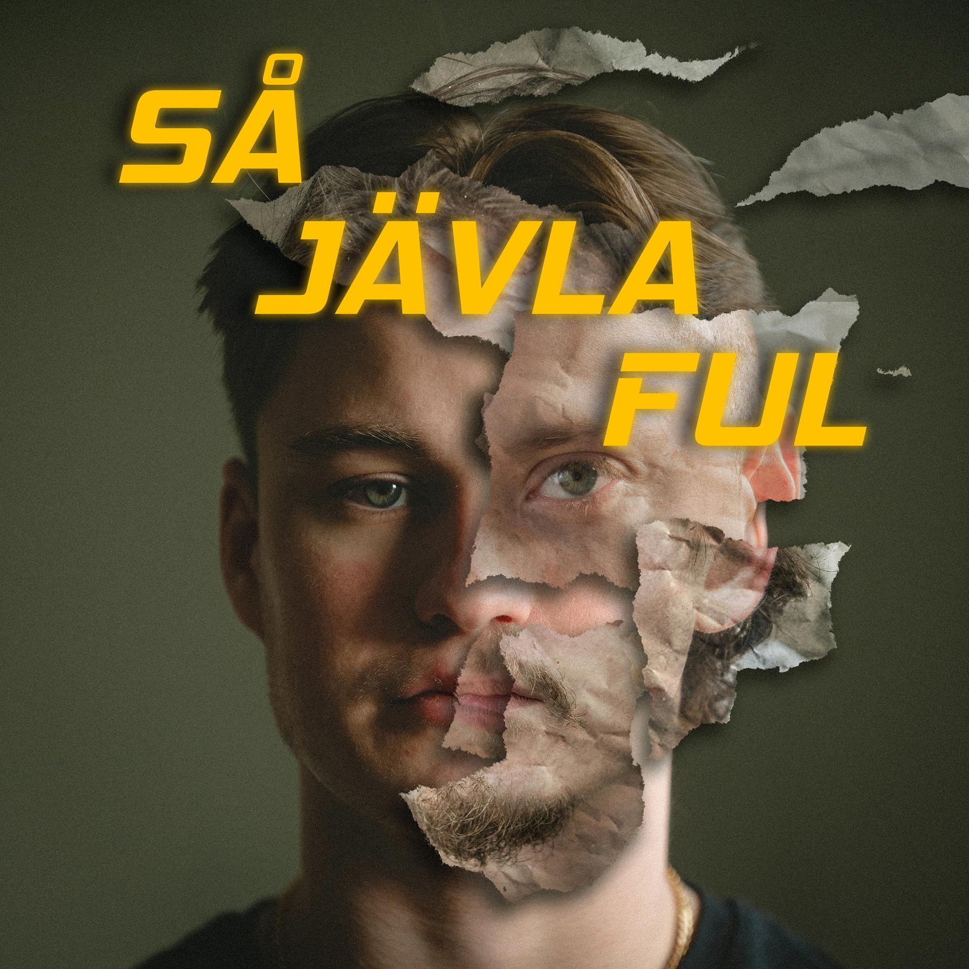 Постер альбома Så jävla ful