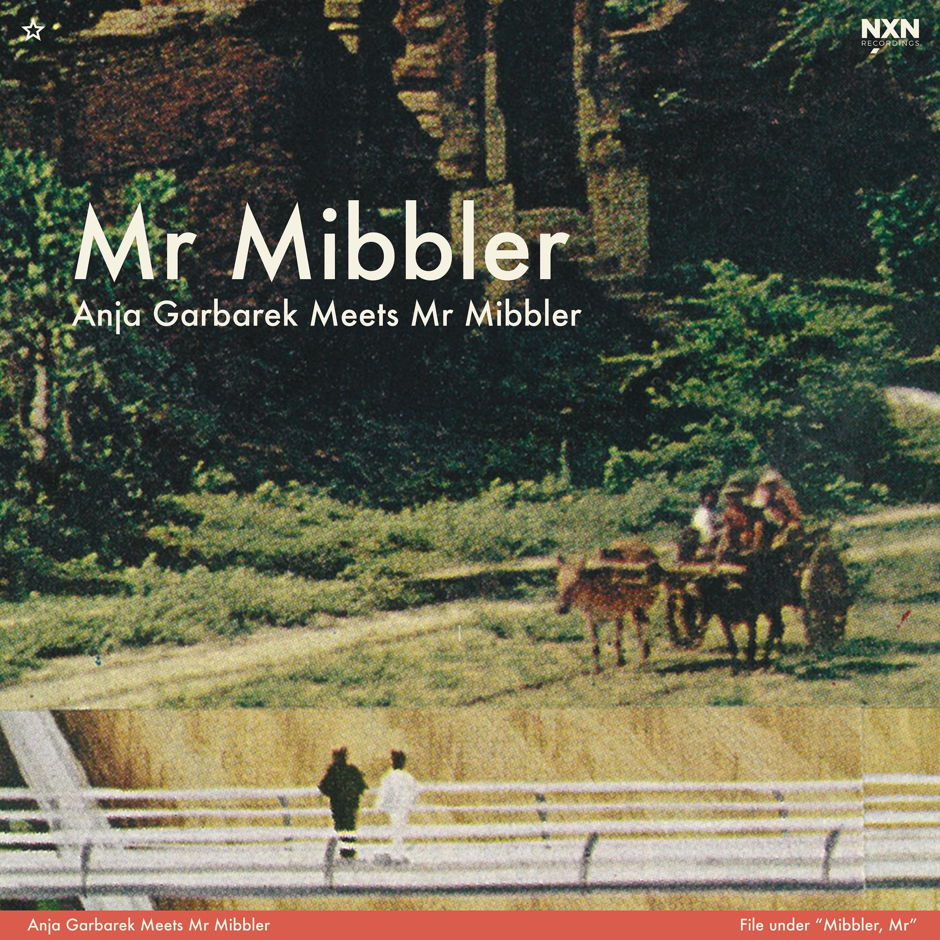 Постер альбома Anja Garbarek Meets Mr Mibbler (Single)