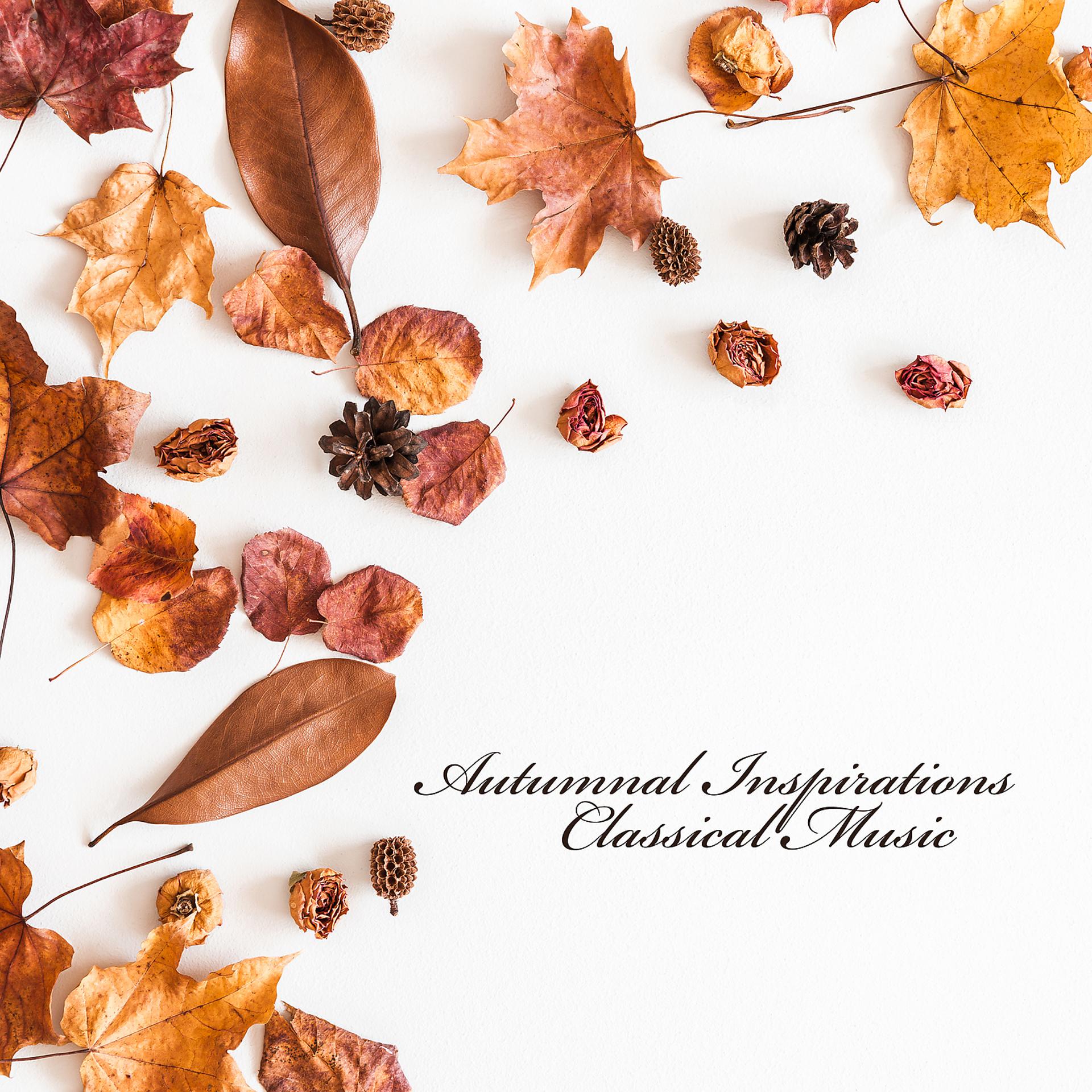Постер альбома Autumnal Inspirations – Classical Music