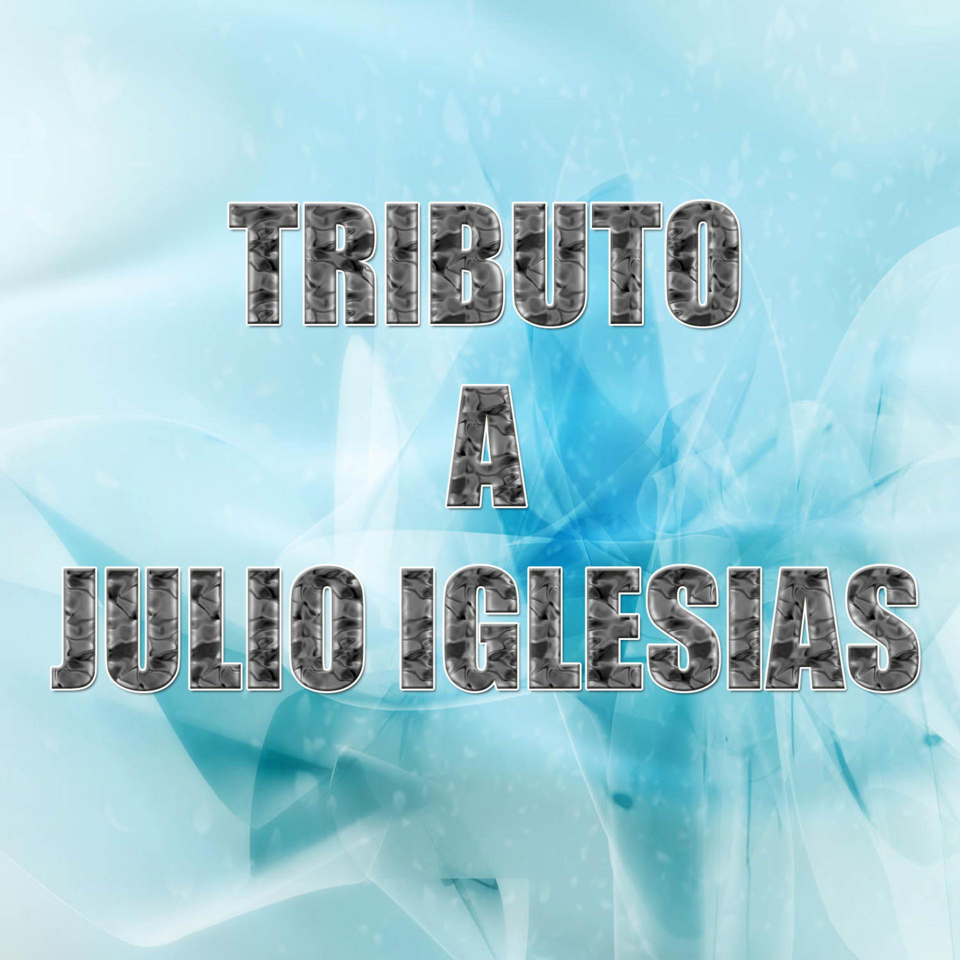 Постер альбома Tributo a Julio Iglesias