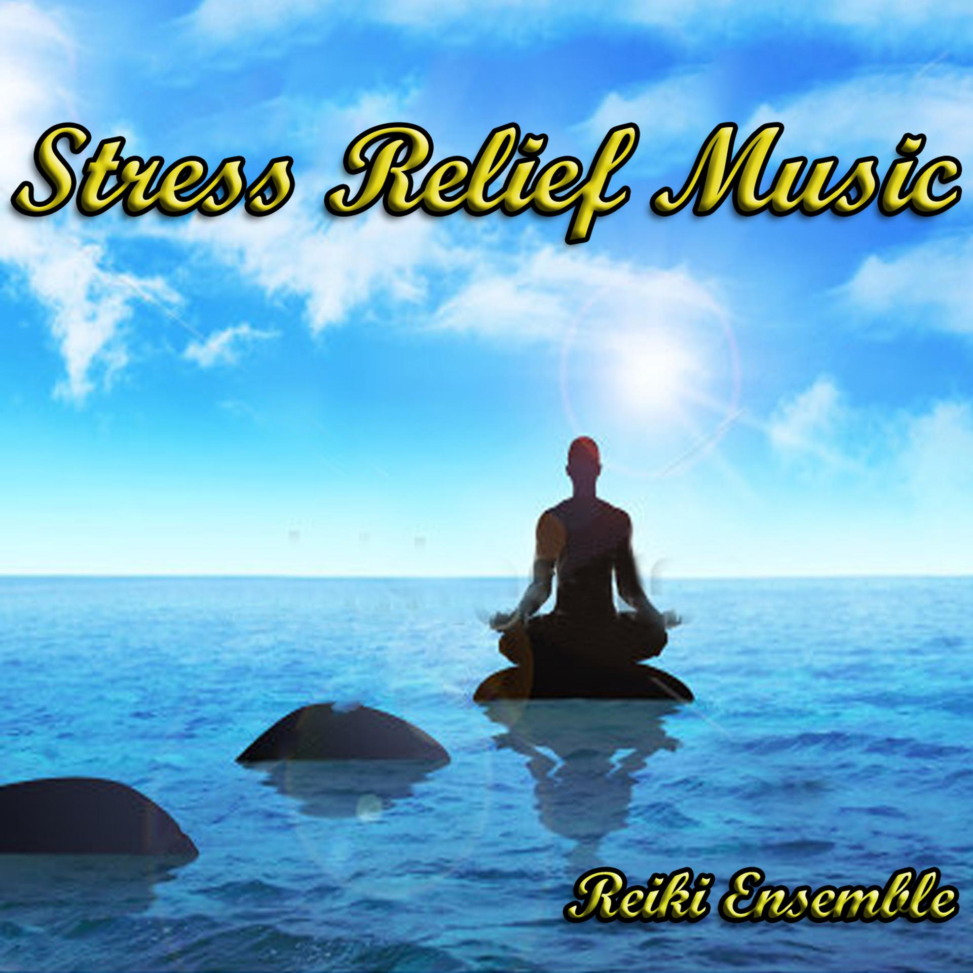 Постер альбома Stress Relief Music
