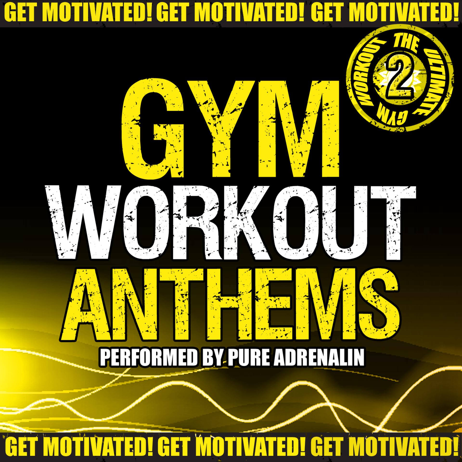 Постер альбома Gym Workout Anthems, Vol. 2