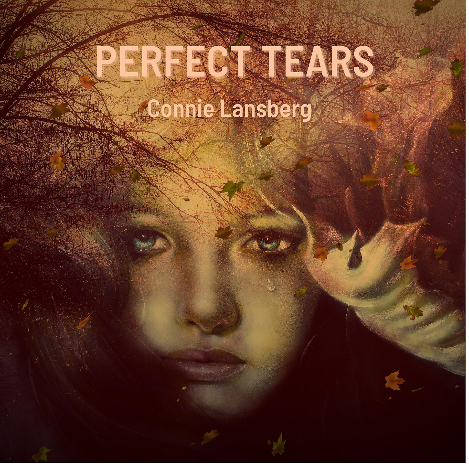 Постер альбома Perfect Tears (feat. Mark Fitzgibbon, Ben Robertson & Danny Fischer)