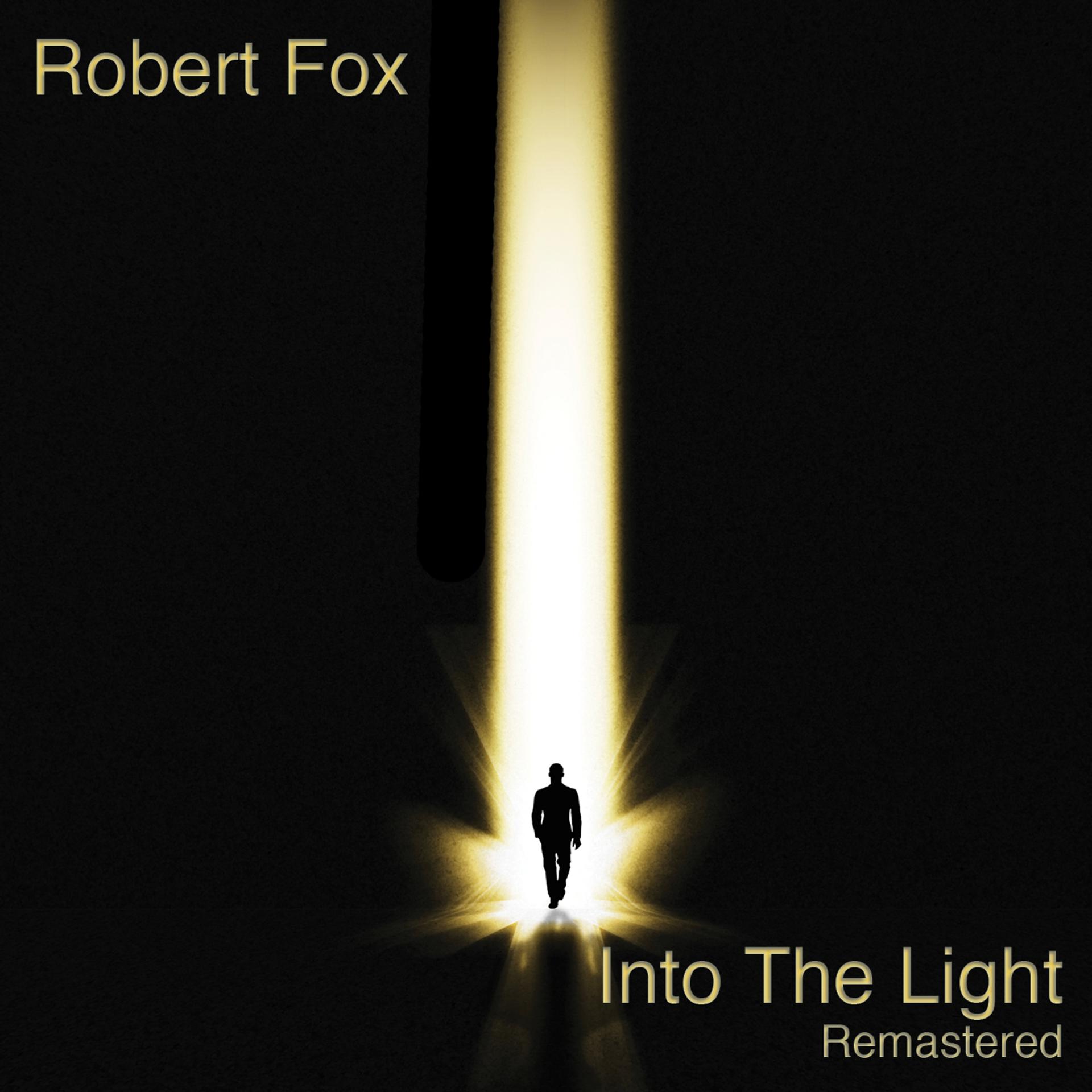 Постер альбома Into the Light (Remastered)