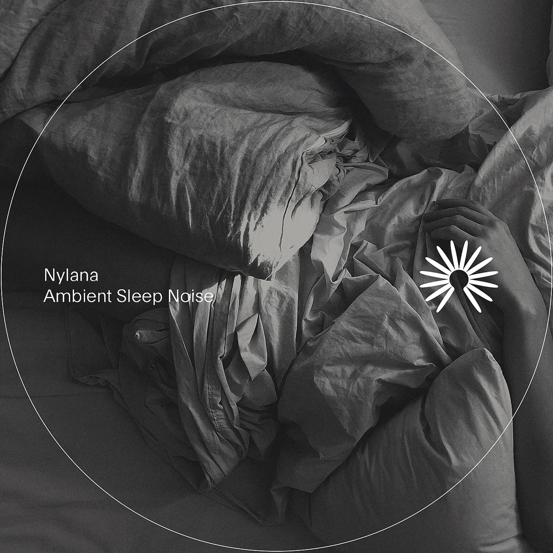 Постер альбома Ambient Sleep Noise