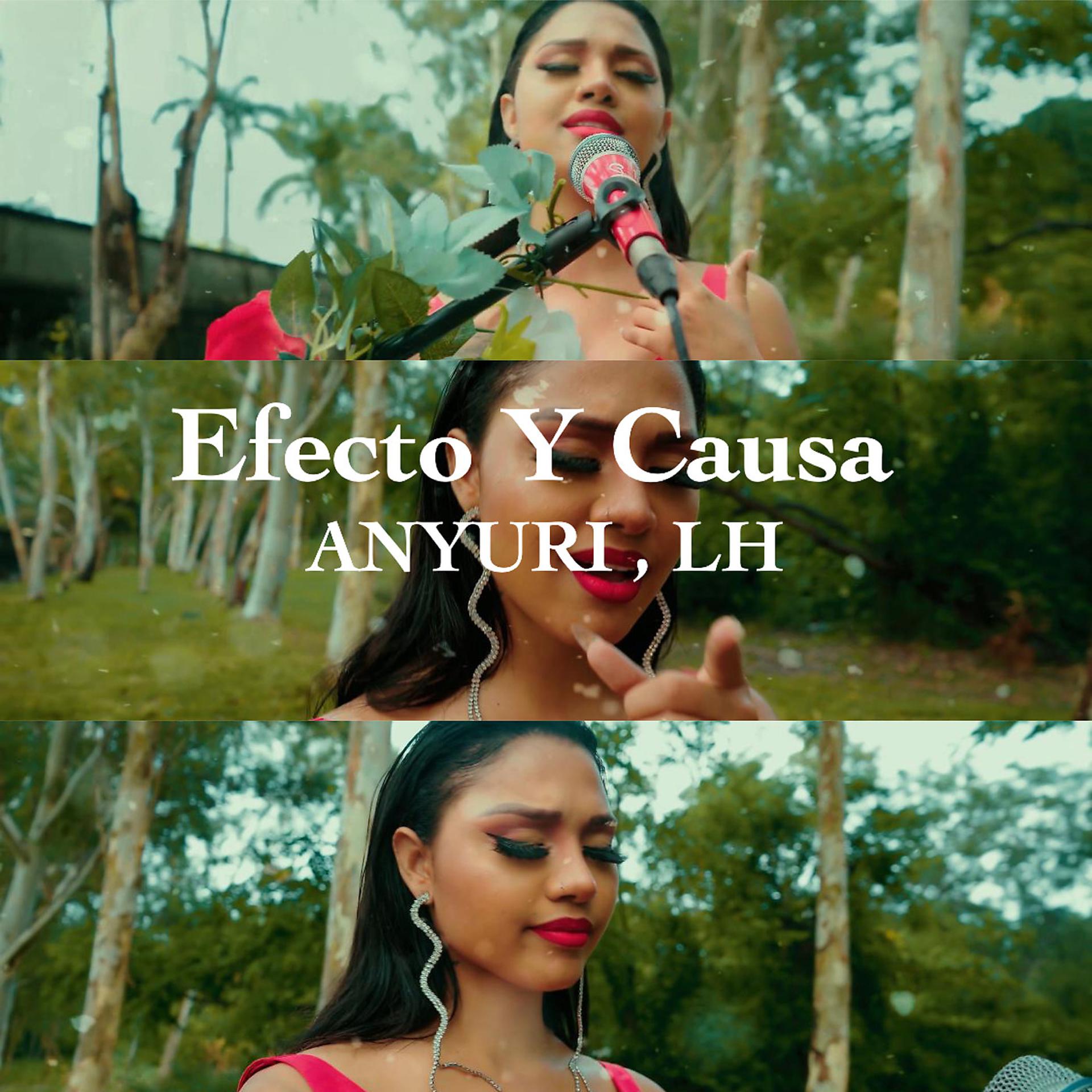 Постер альбома Efecto Y Causa