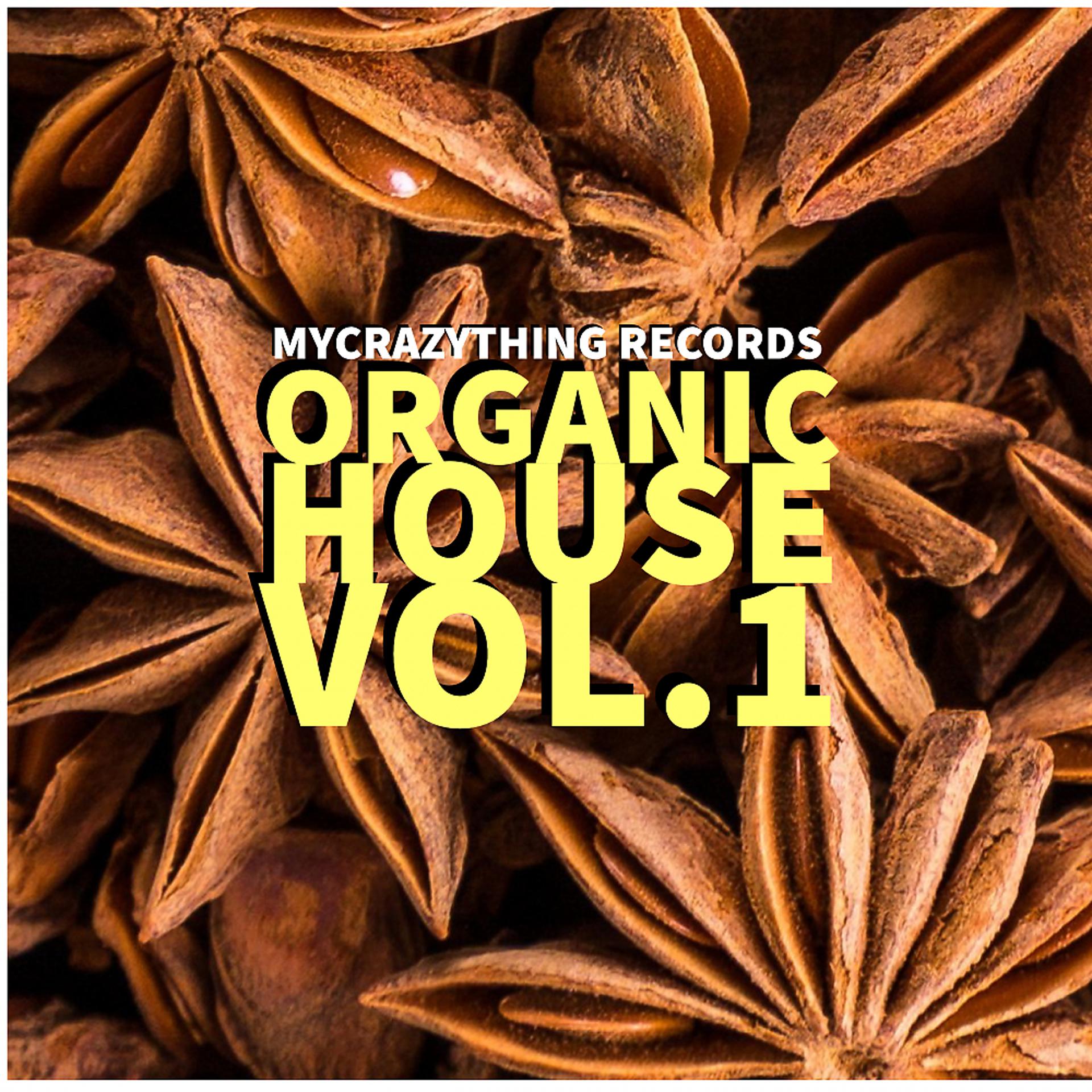 Постер альбома Organic House vol.1