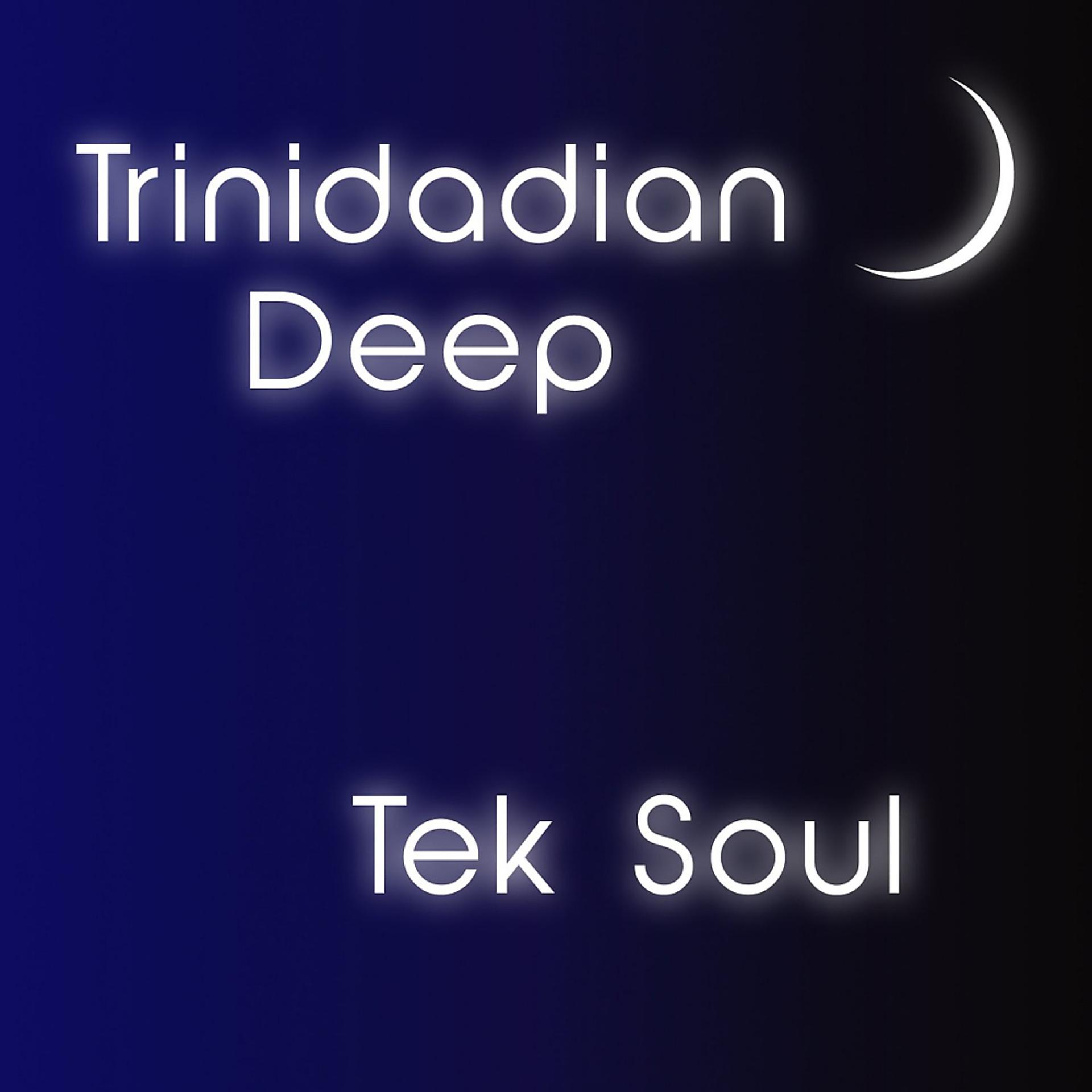 Постер альбома Tek Soul