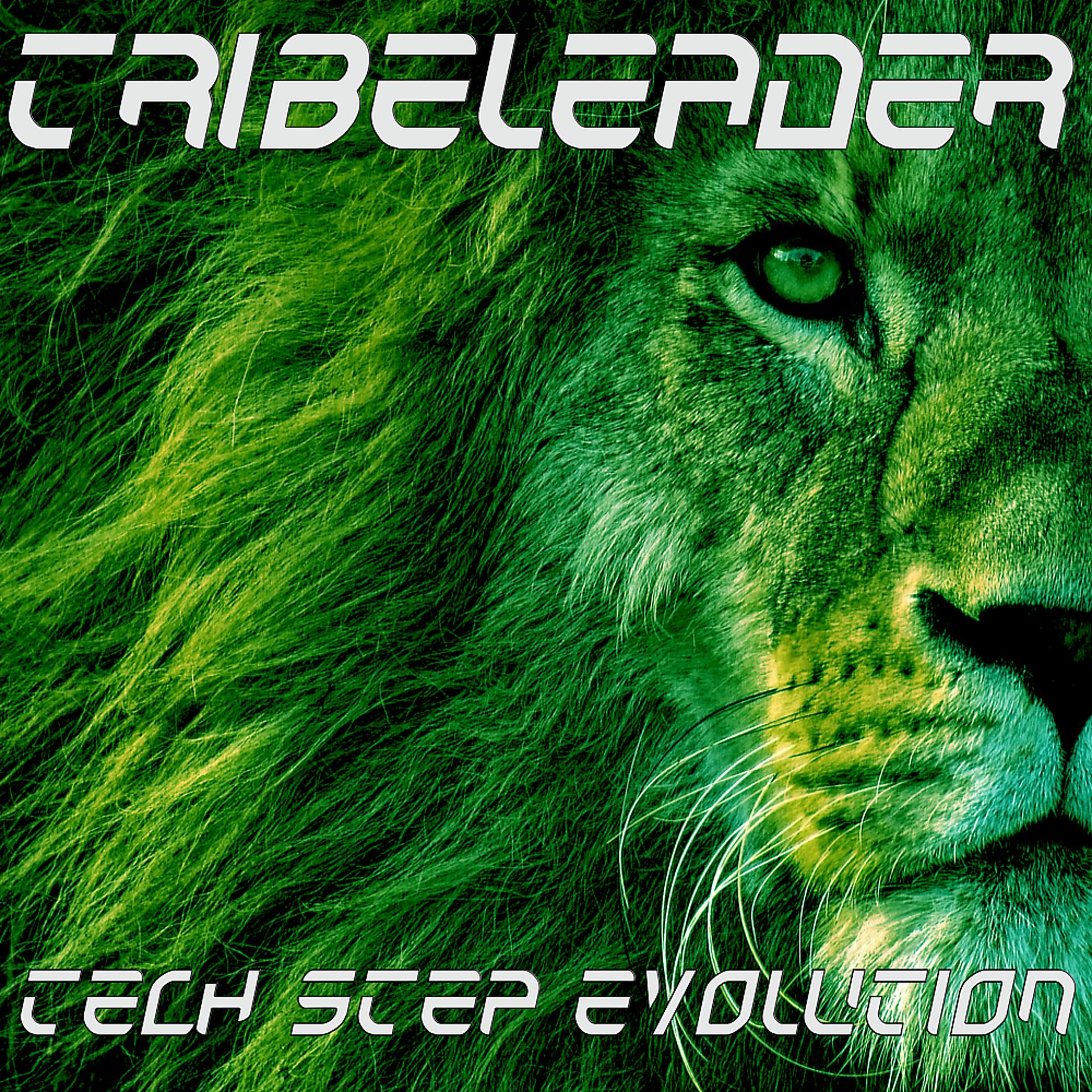 Постер альбома Tech Step Evolution