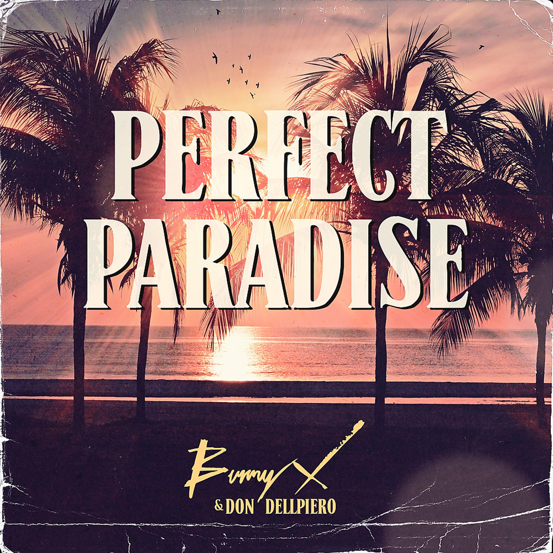 Постер альбома Perfect Paradise